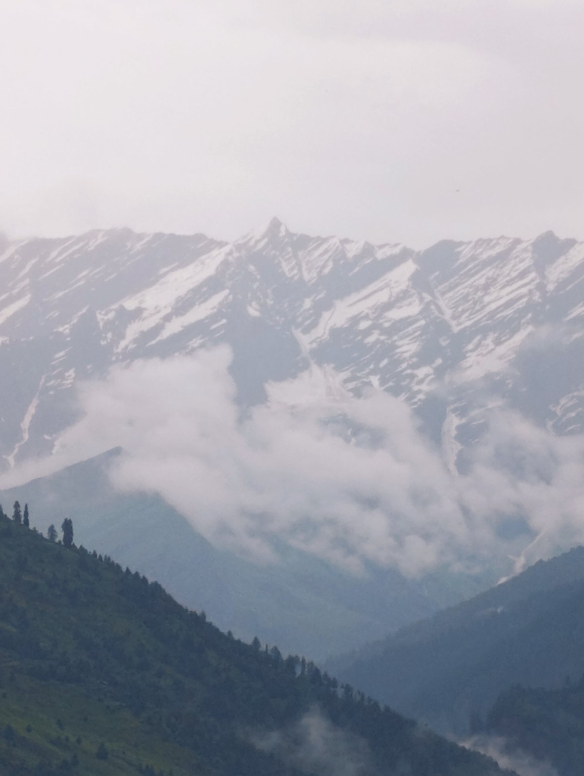 Mist, forest, and river along the Vashisht valley