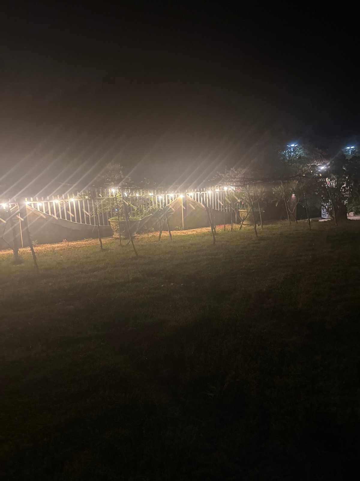 Night out at Veranda lounge, Nha Trang — rustic vibes, cats included