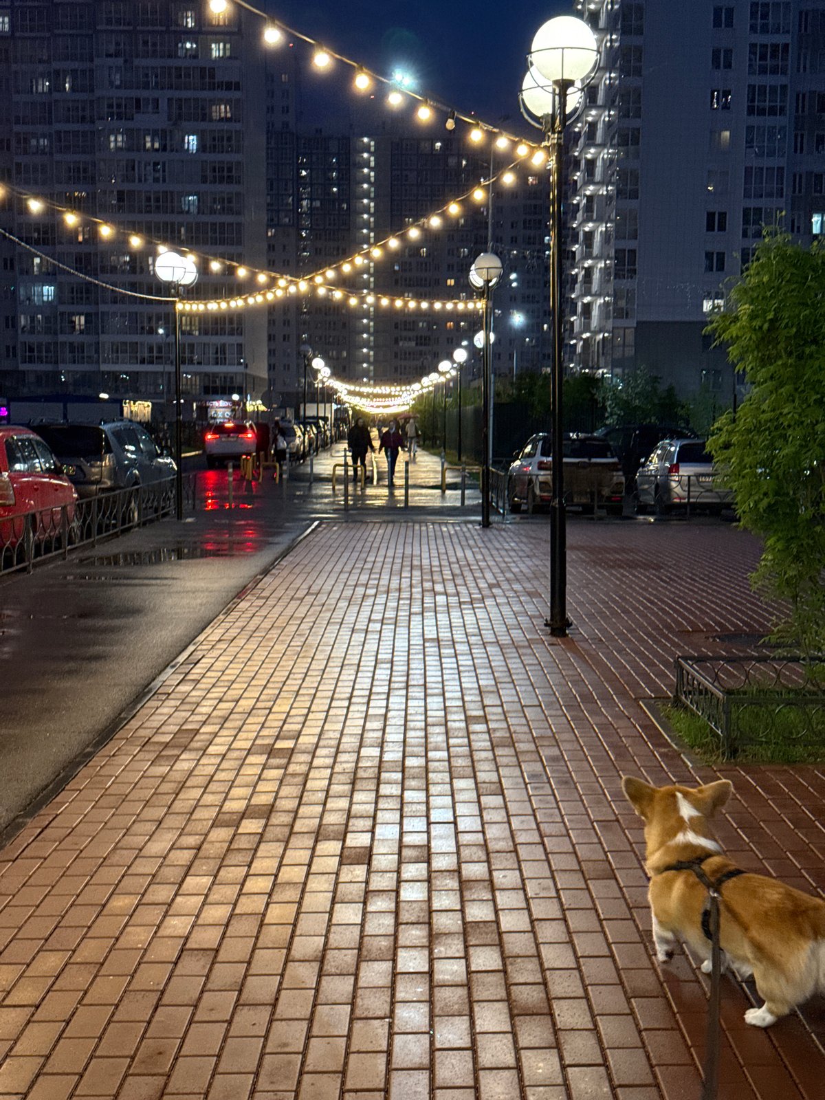 Evening documentation of illuminated Krasnoyarsk streetscapes and riverfront