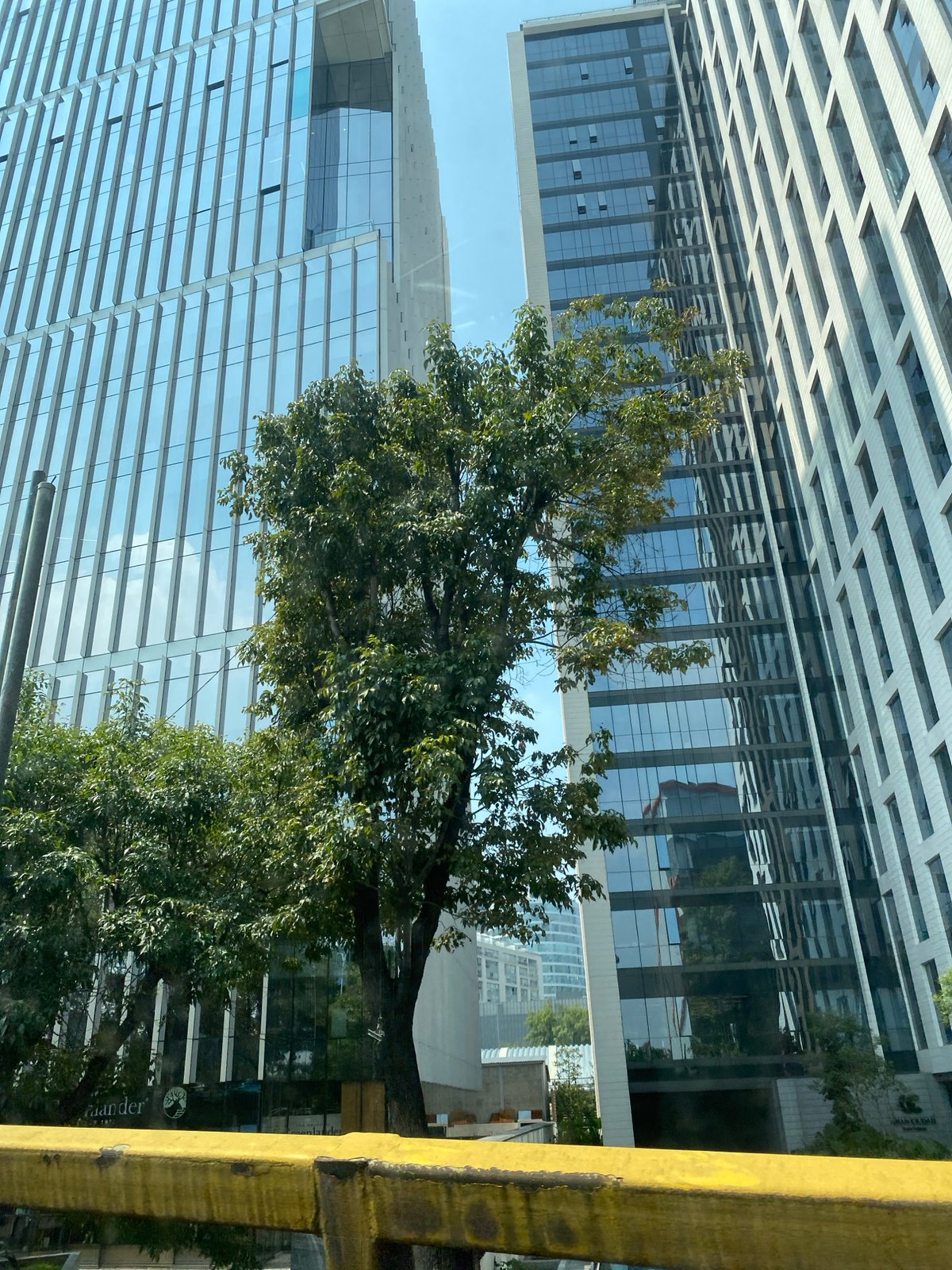 Modern glass skyscrapers observed in urban business district