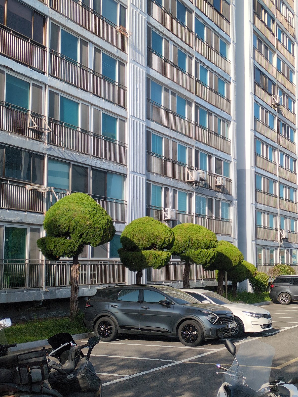 Quiet street scenes documented across Ulsan, South Korea
