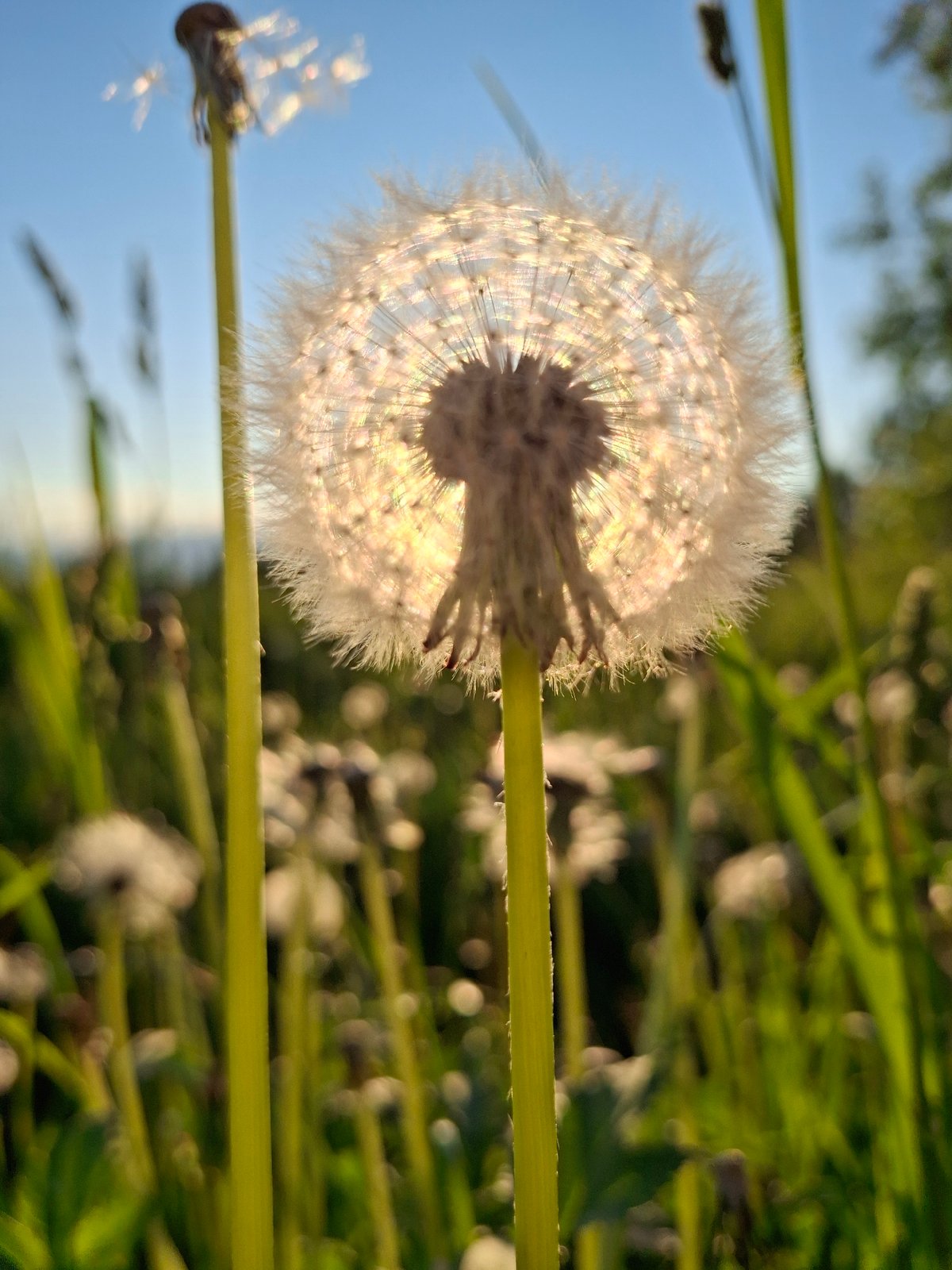 Nature photography session captured in Chaikovsky, Russia