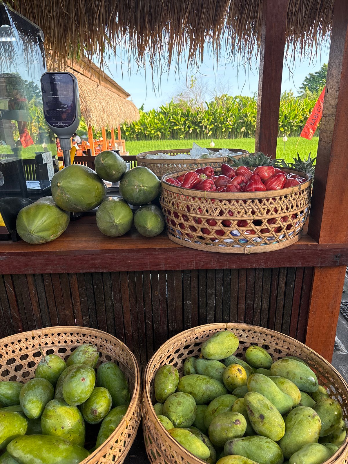 Rural Gianyar: rice fields, roadside stalls, and daily life