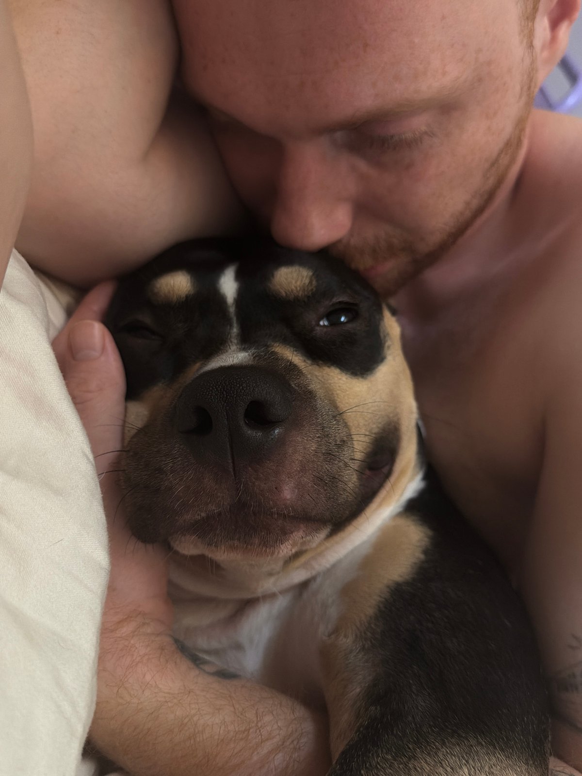 Cozy indoor moment with a dog in Tel Aviv