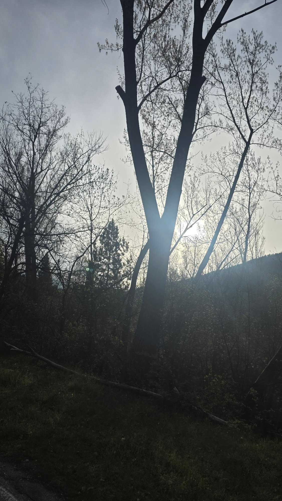 Morning nature walk documented across Blagoevgrad parks and landscapes