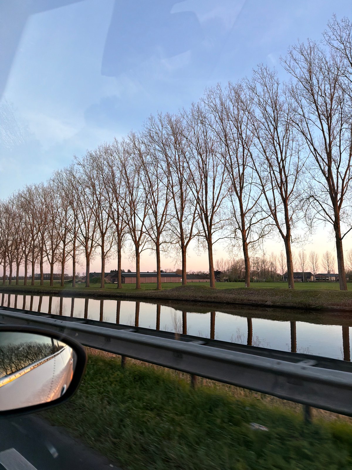 Spring evening drive captures bare trees, flying birds in Veghel