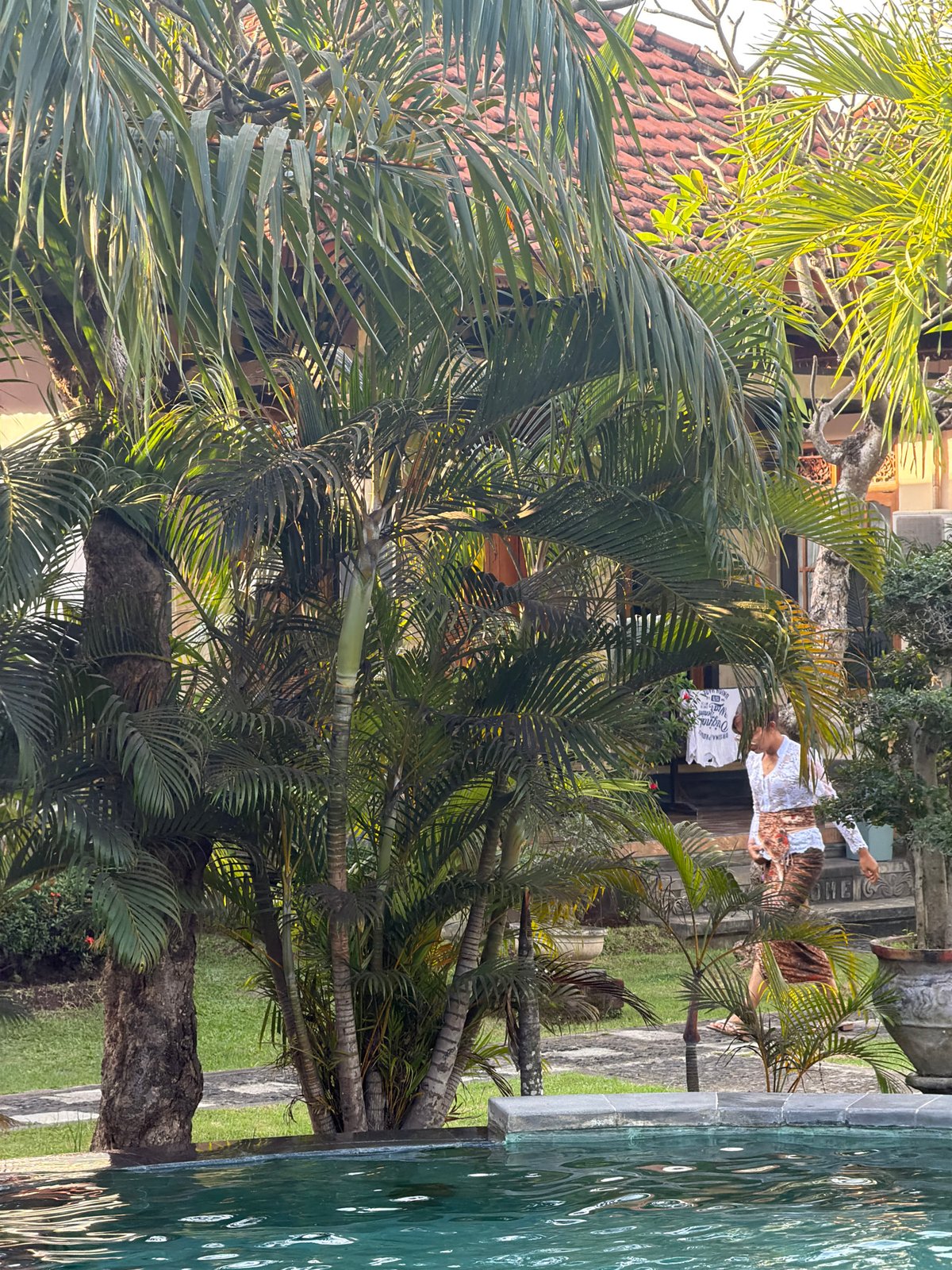 Poolside morning at a lush Balinese resort in Buleleng