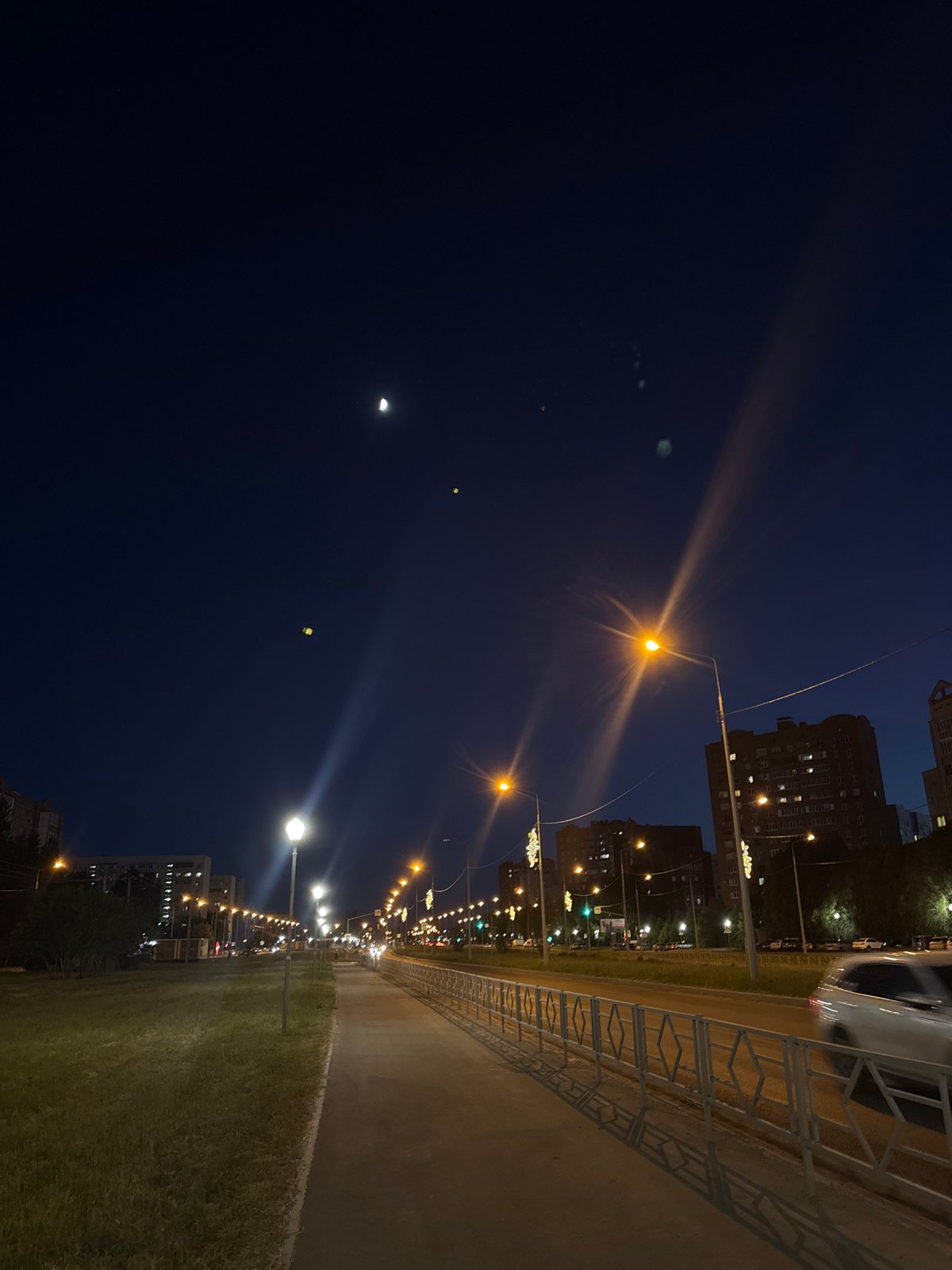 Evening Dog Walk and Indoor Moments with Husky Documented