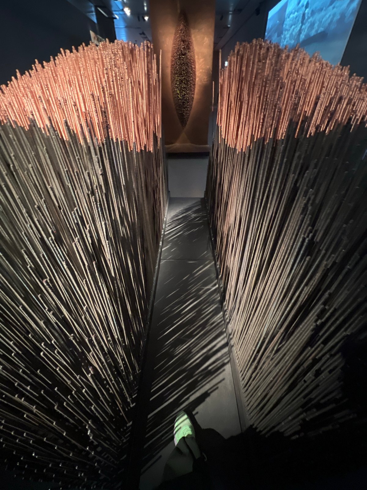 Visitor documents contemporary art installations in Moscow museums