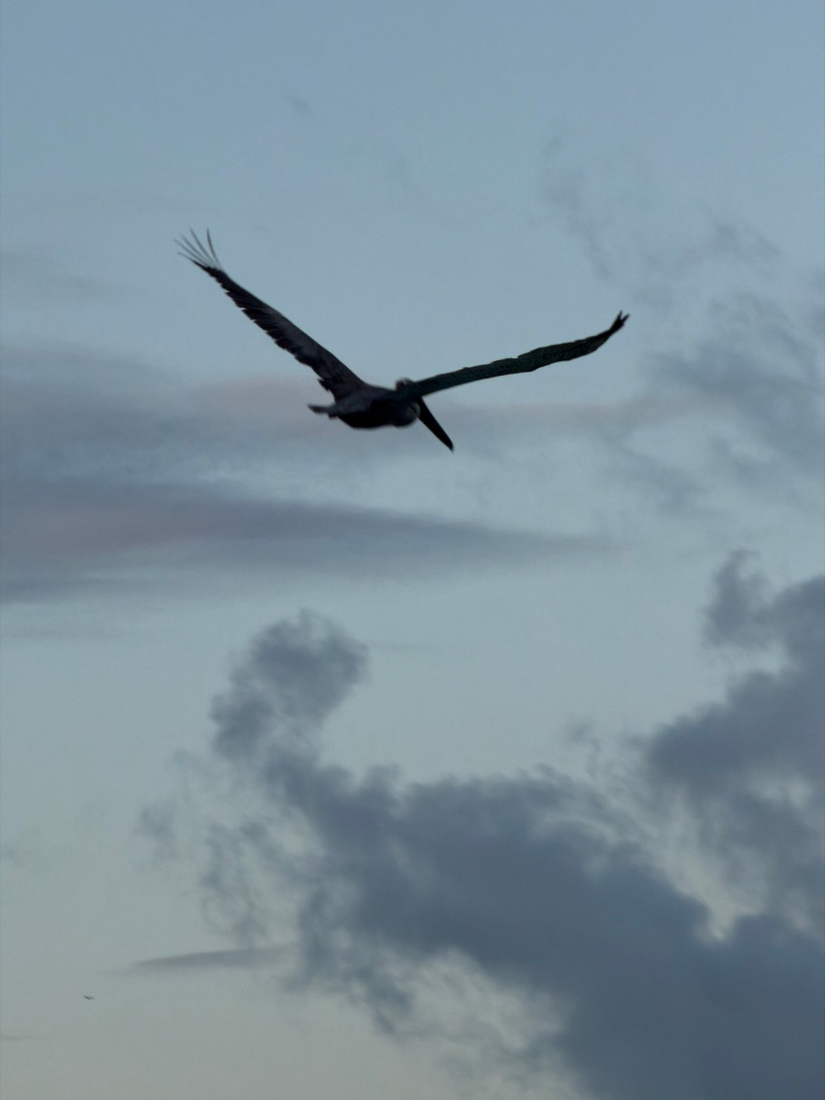 Evening beach activities captured in Cancún, Mexico