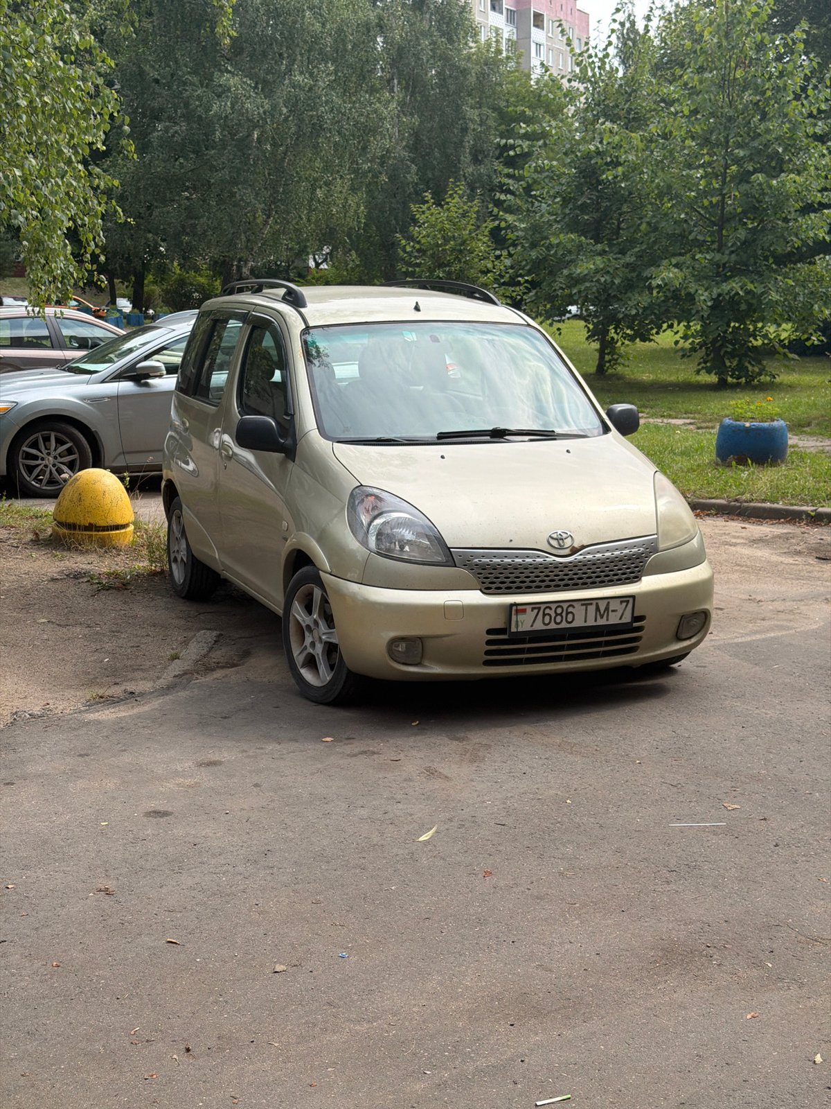 Parked cars and pigeons on a quiet Minsk residential street