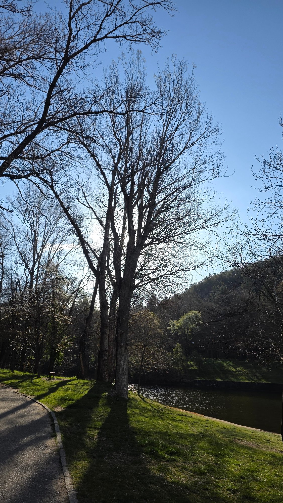 Morning walk documented through Blagoevgrad park with waterfall feature