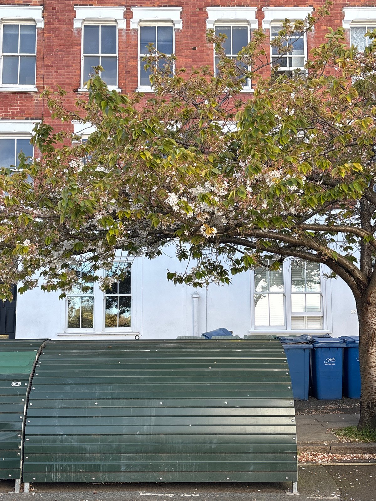 London resident documents neighborhood street scenes on spring afternoon