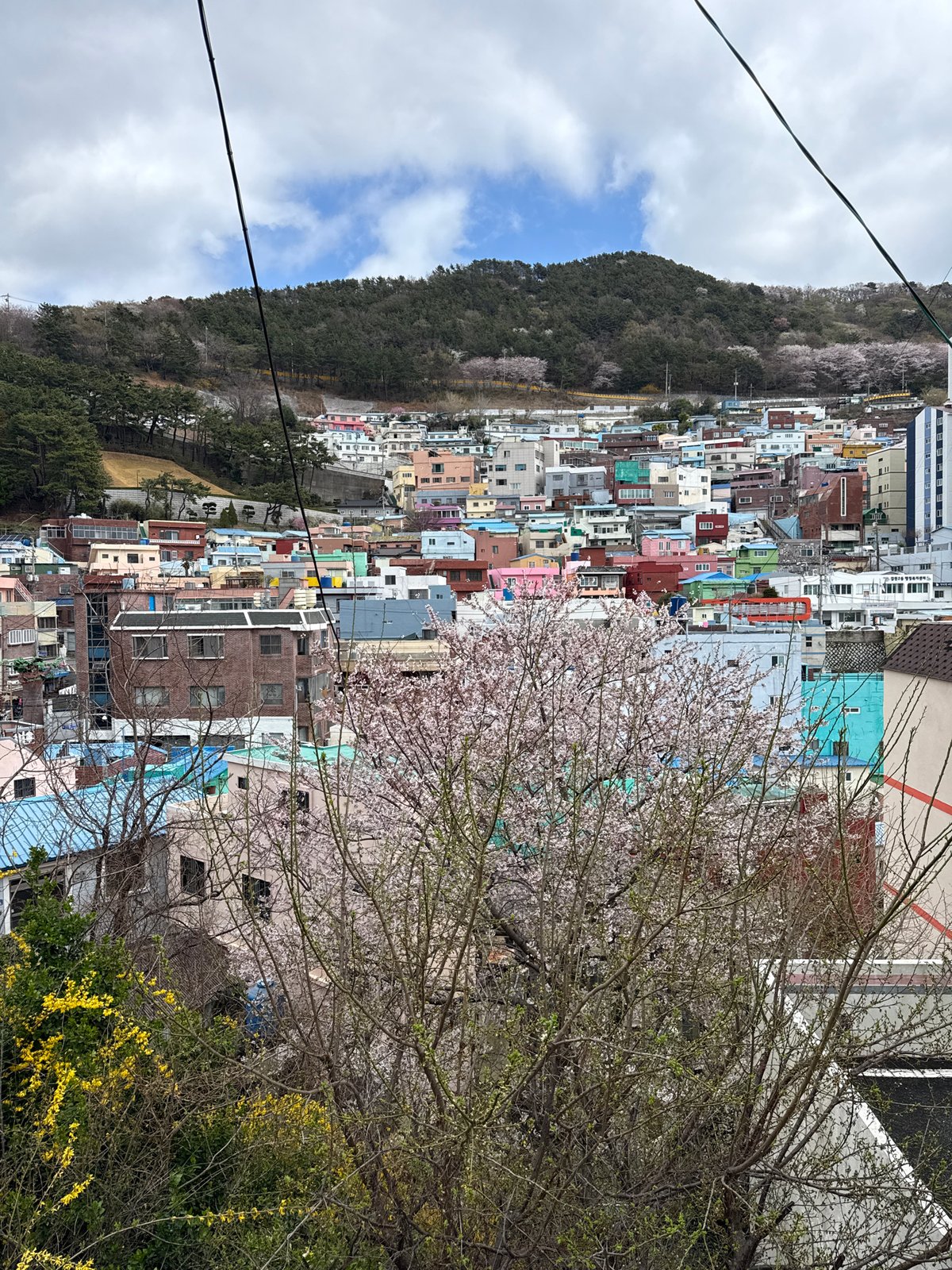 Early morning documentation of Gamcheon Culture Village arts district