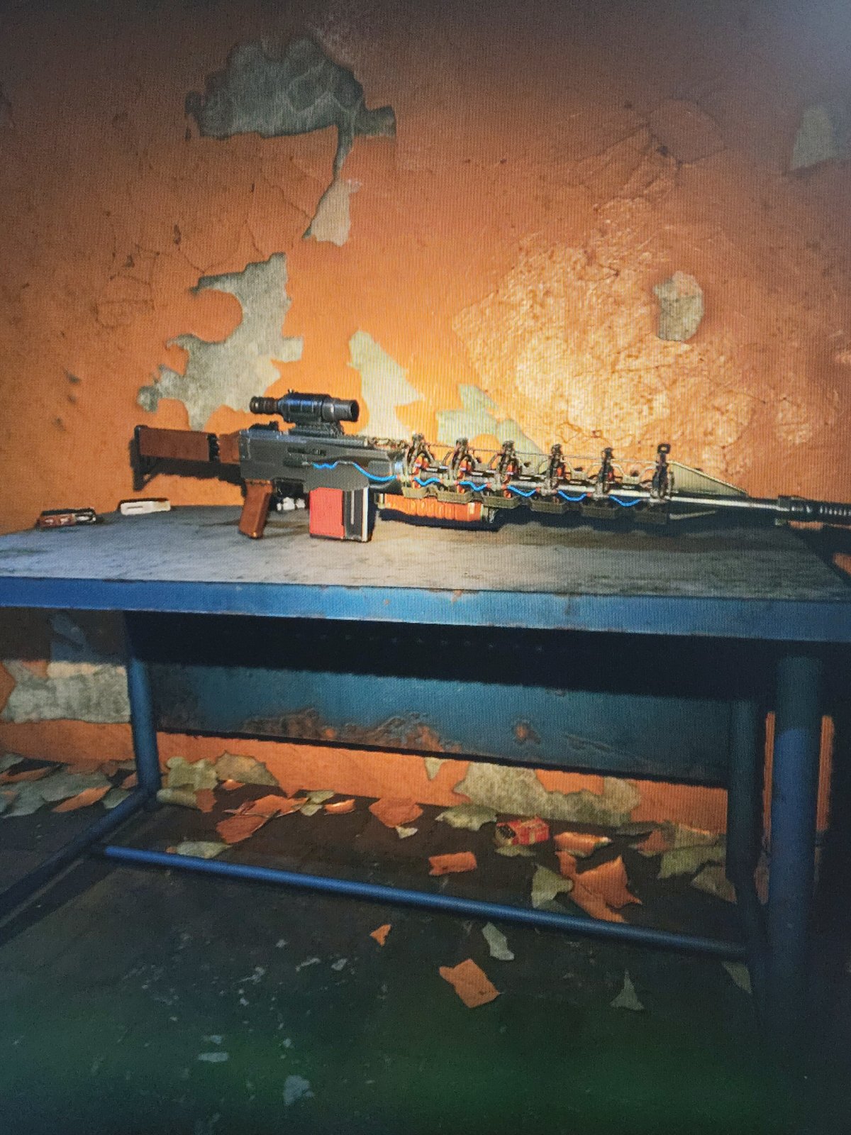 Private sushi gathering documented alongside displayed firearms, cat