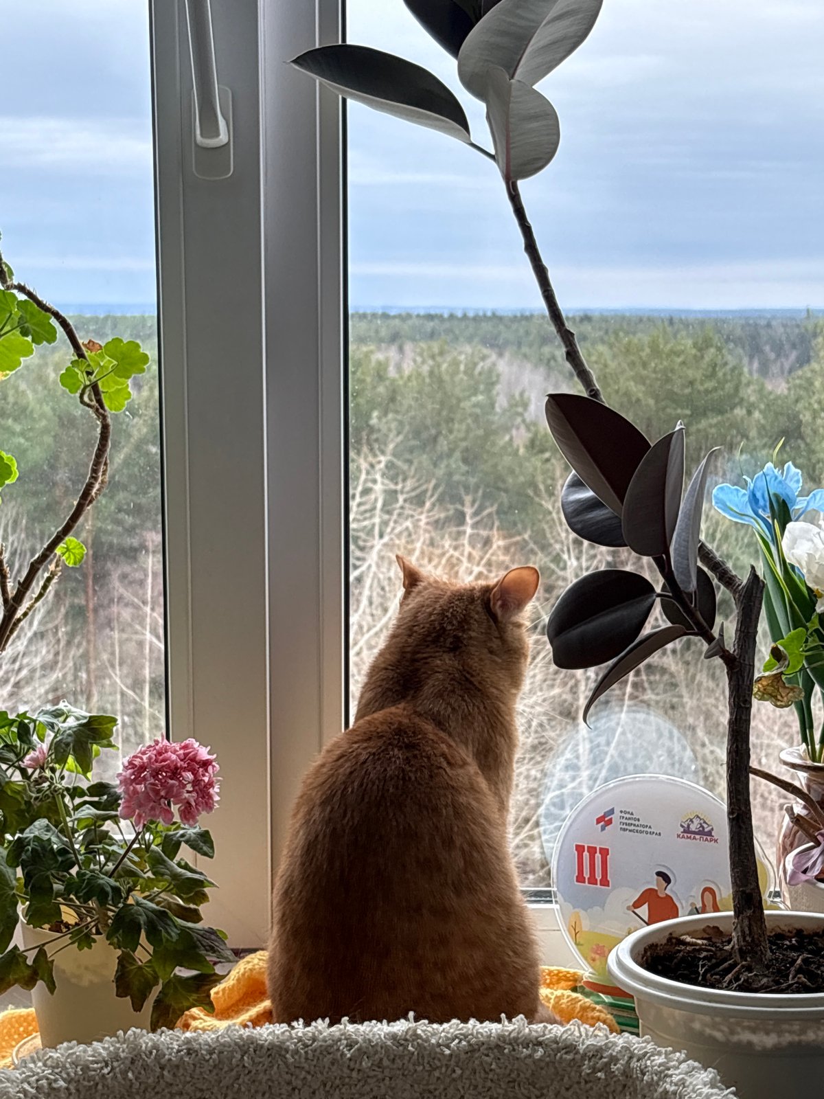 Woman documents early morning routine in Berezniki apartment