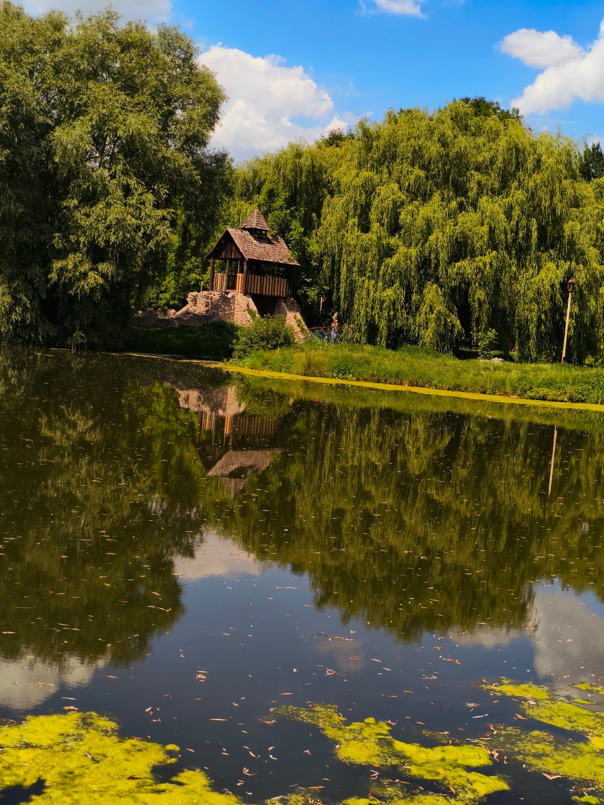 Ternopil Pond park on a sunny summer morning