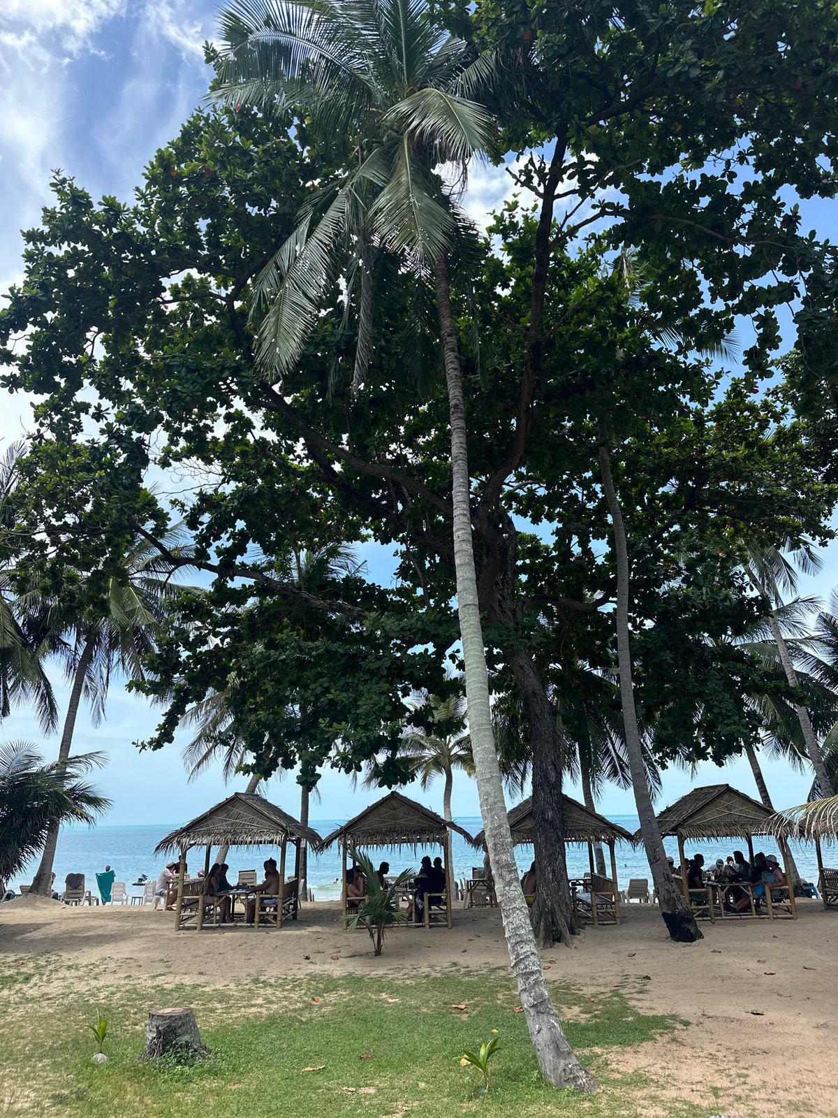 Beach and roadside scenes around Ko Samui on a July morning