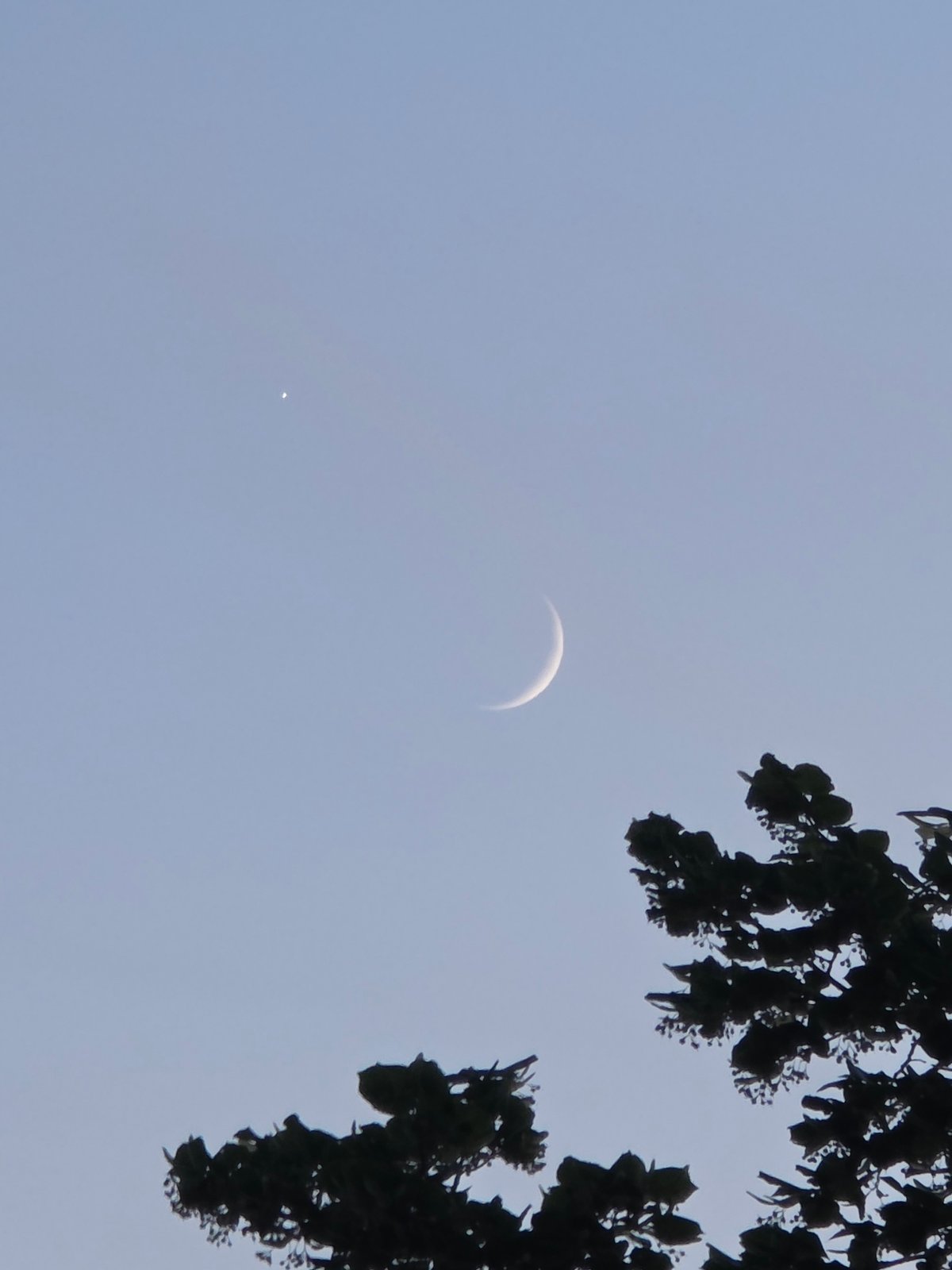 City evening: mall, traffic, pastries, and a crescent moon