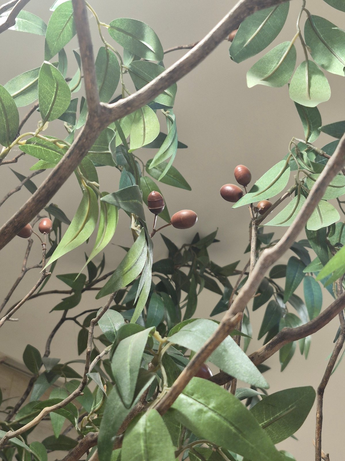 Plants and small paintings in a Seoul interior setting