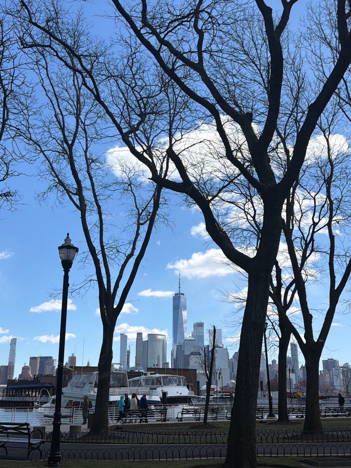 Manhattan skyline viewed from Jersey City trees