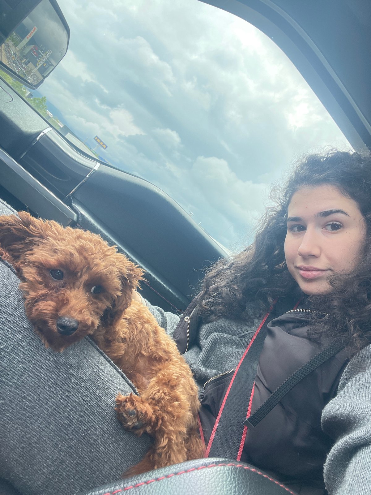 Woman and poodle share quiet car moment in Sofia