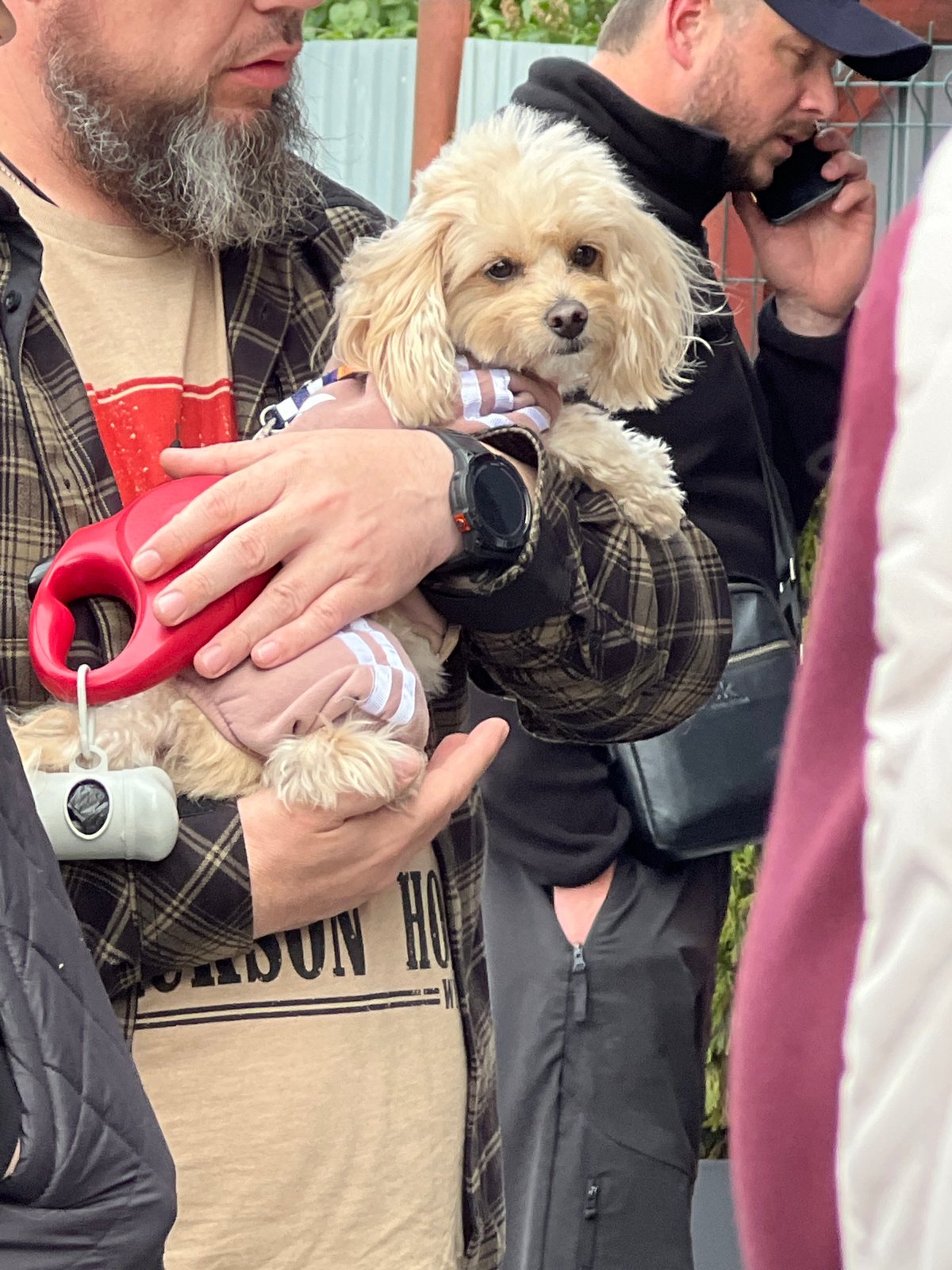 Casual gathering with dogs and food preparation in Velyki Hai
