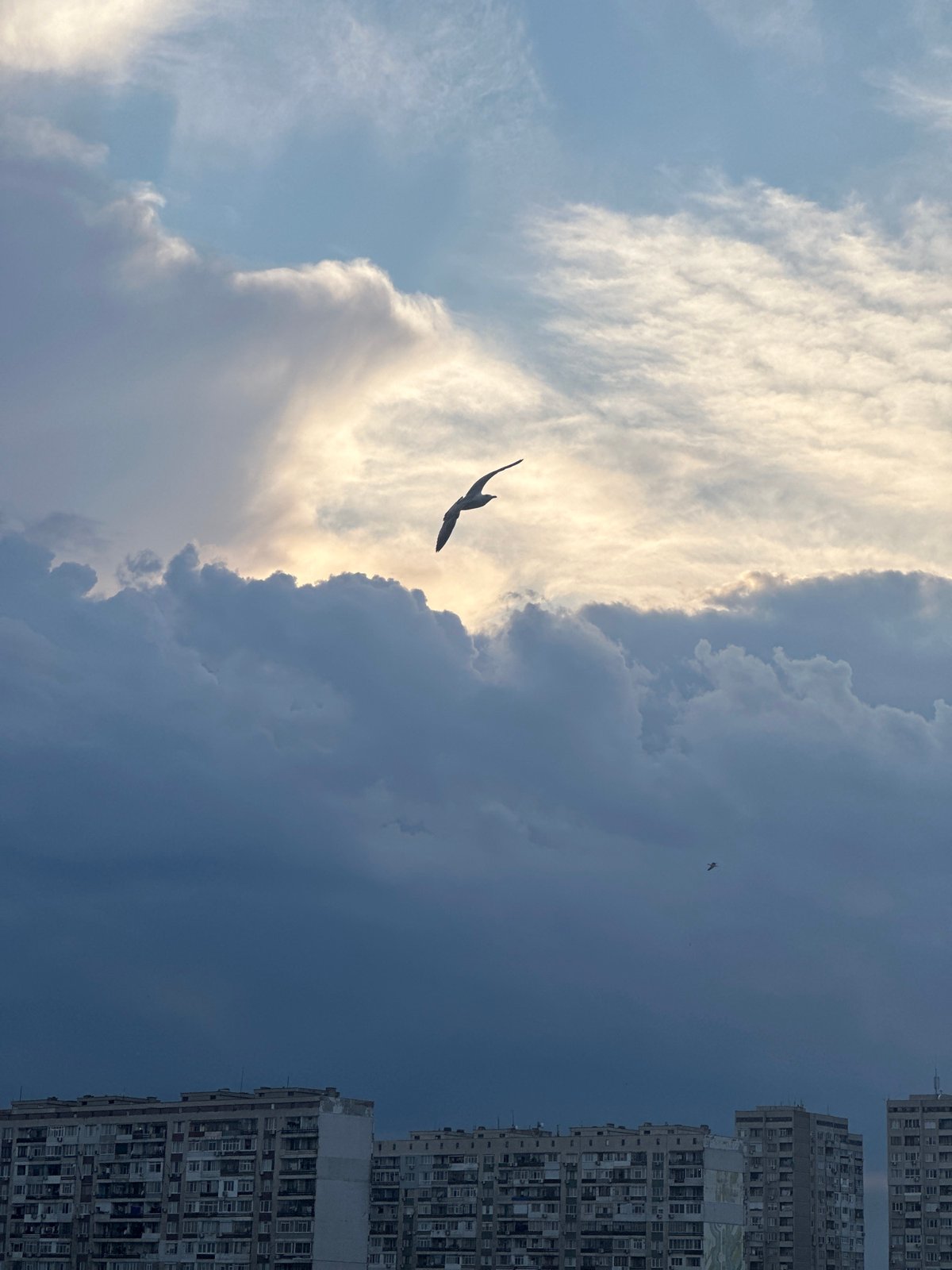 Dramatic split sky formations observed above city buildings