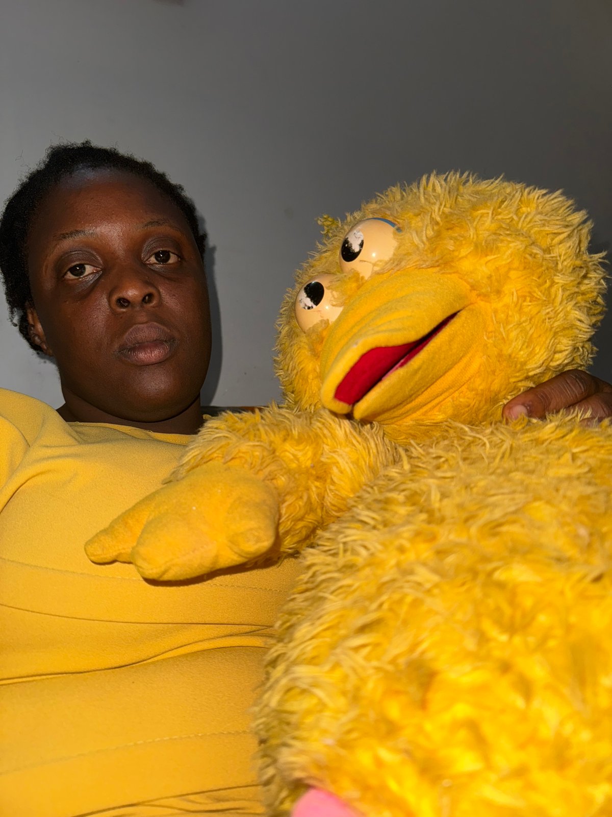 Witnesses document playtime with Big Bird, leopard stuffed animals