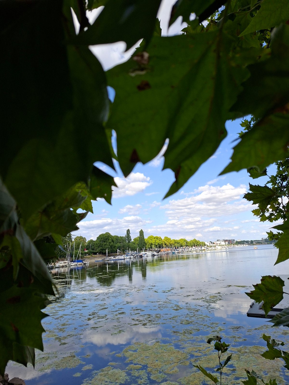 Sunny afternoon at Wiesbaden's Rhine marina and Kurpark