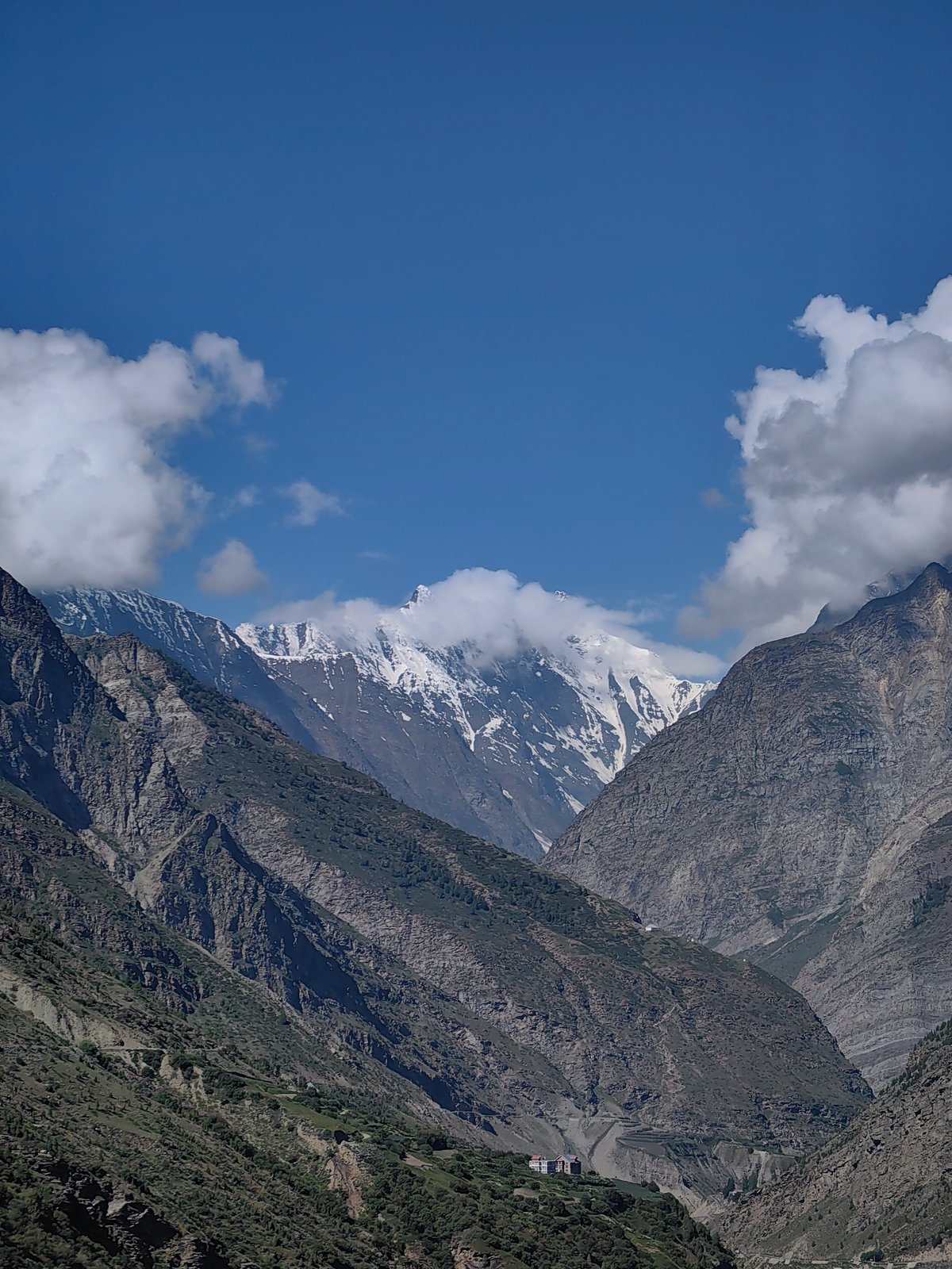 Keylong valley views: mountains, wildflowers, and terraced fields