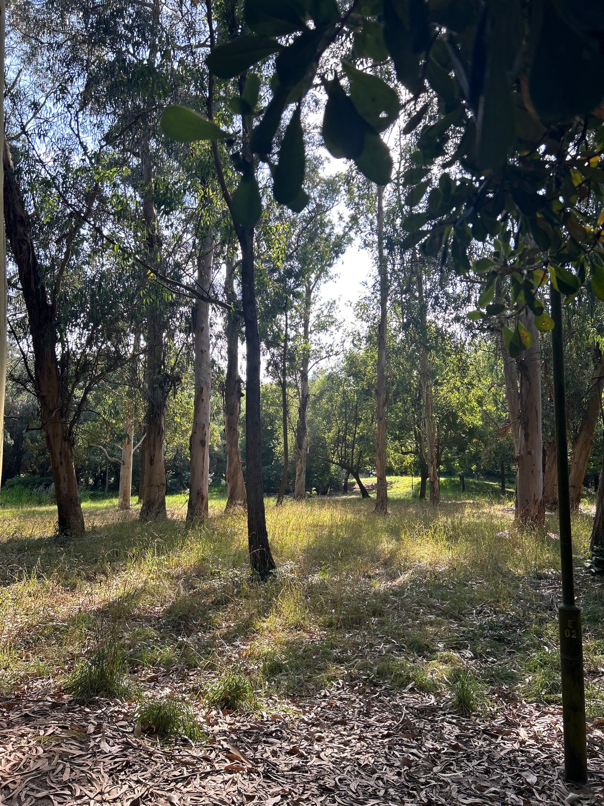 Afternoon exploring a leafy Porto park and its surroundings