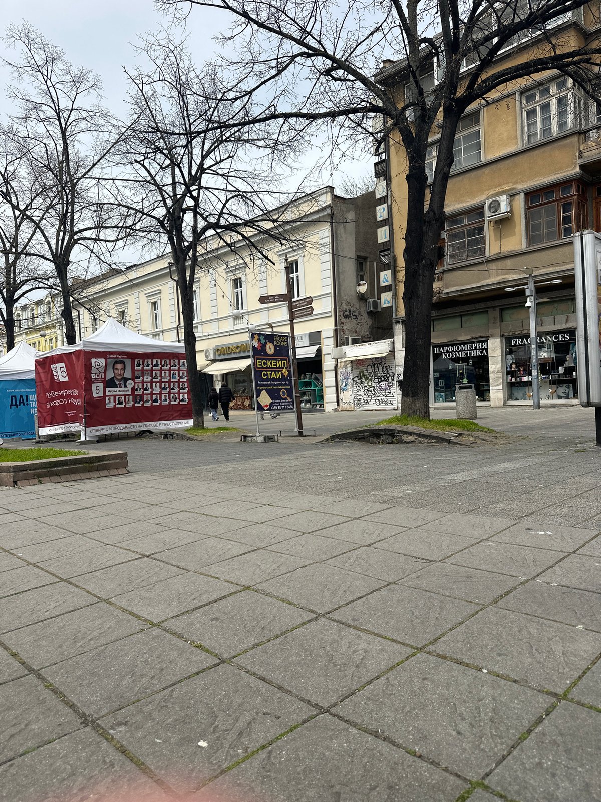 Street scene with bare tree documented in Burgas