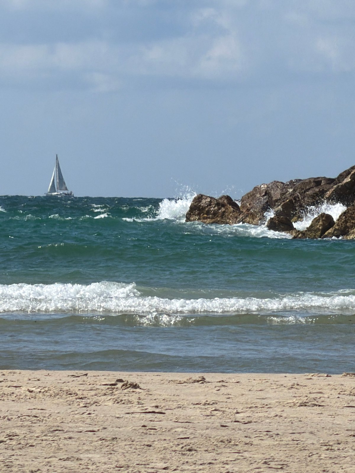 Morning beach scene captured in Tel Aviv with coffee, paddleboarding
