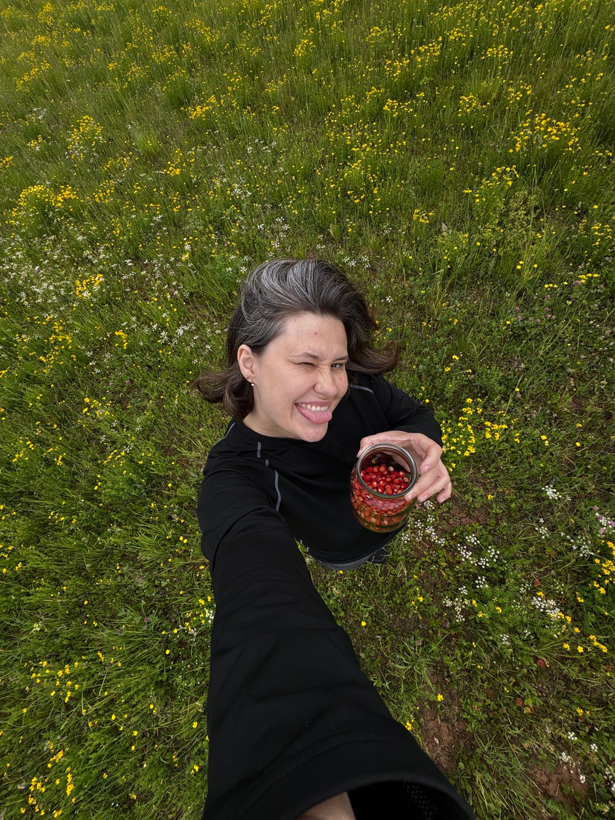 Woman forages wild strawberries in meadow during morning hours
