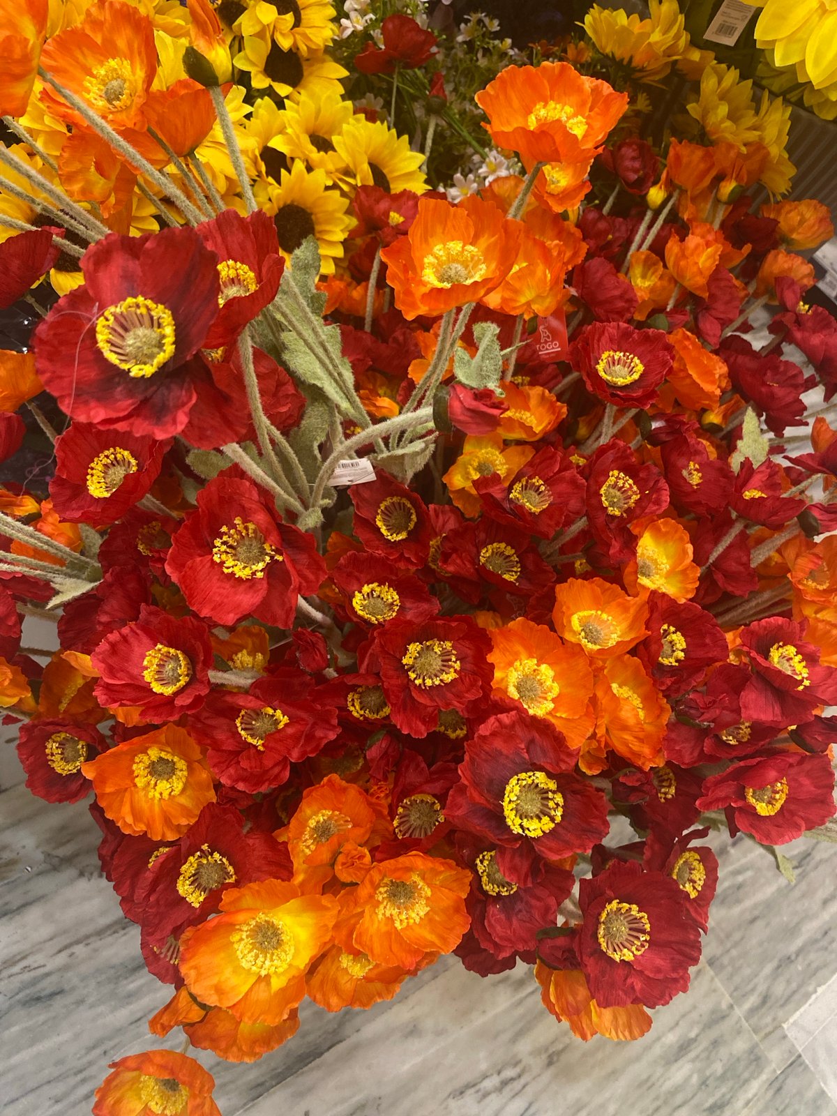 Park visit and shopping stops across an afternoon in Konya