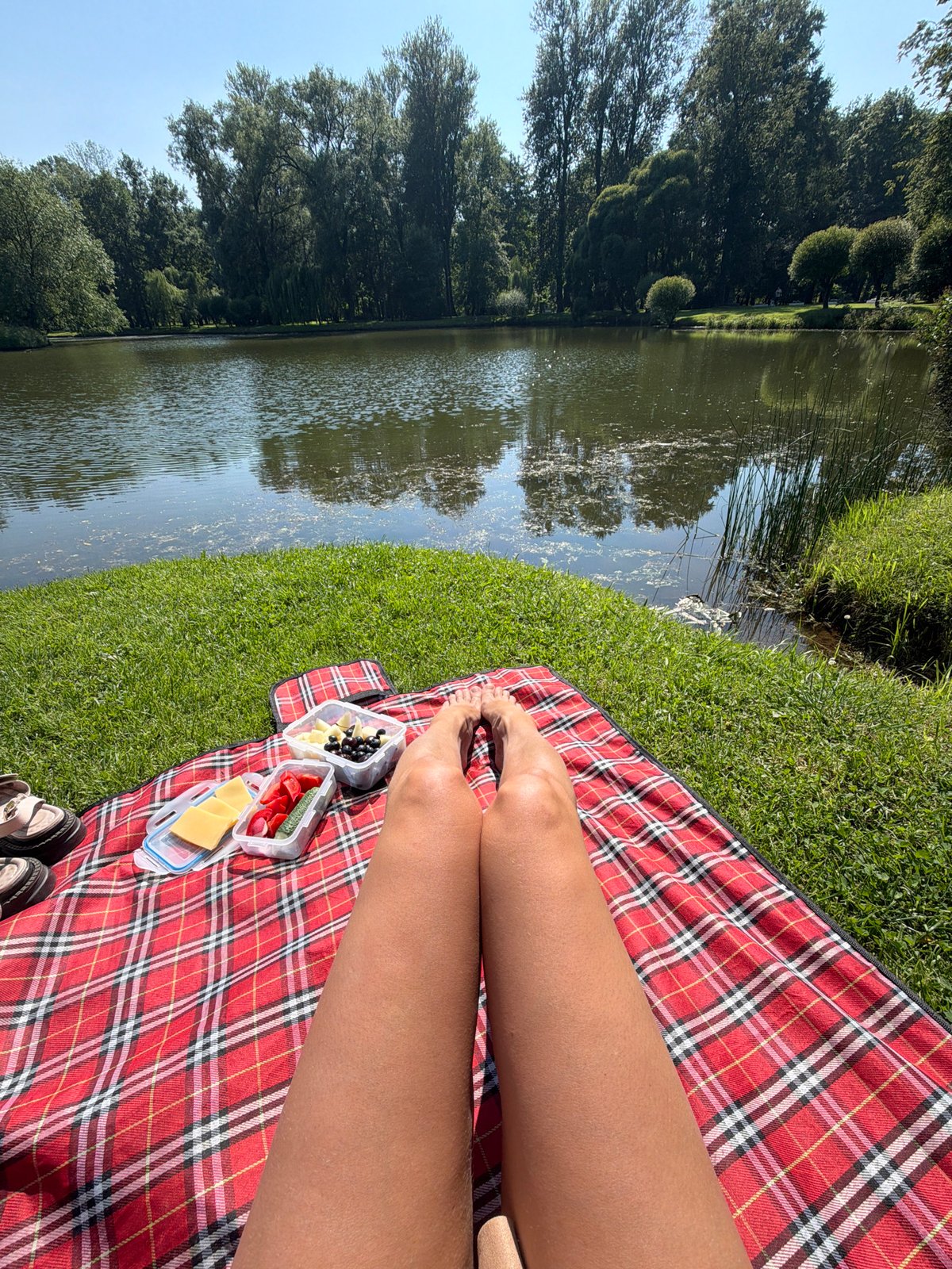 Lakeside picnic on a sunny Saint Petersburg afternoon