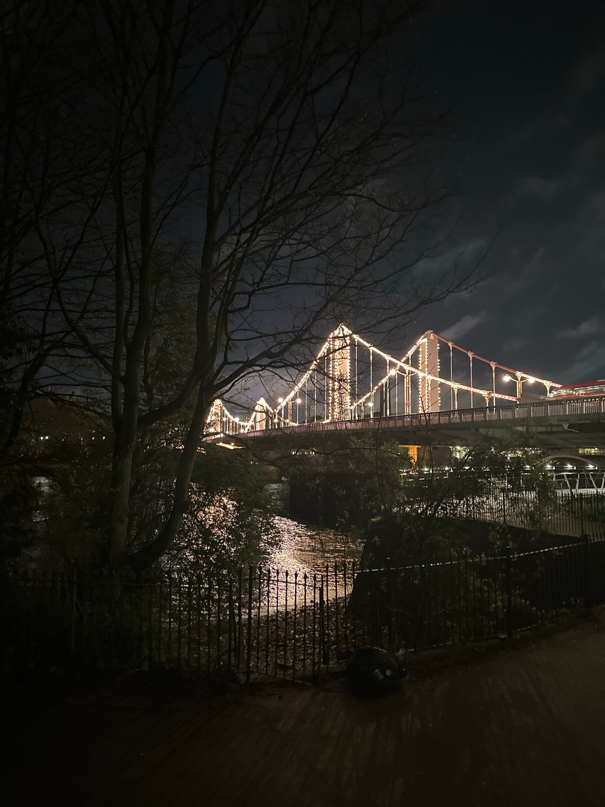 London nighttime scenes captured near Battersea Park area