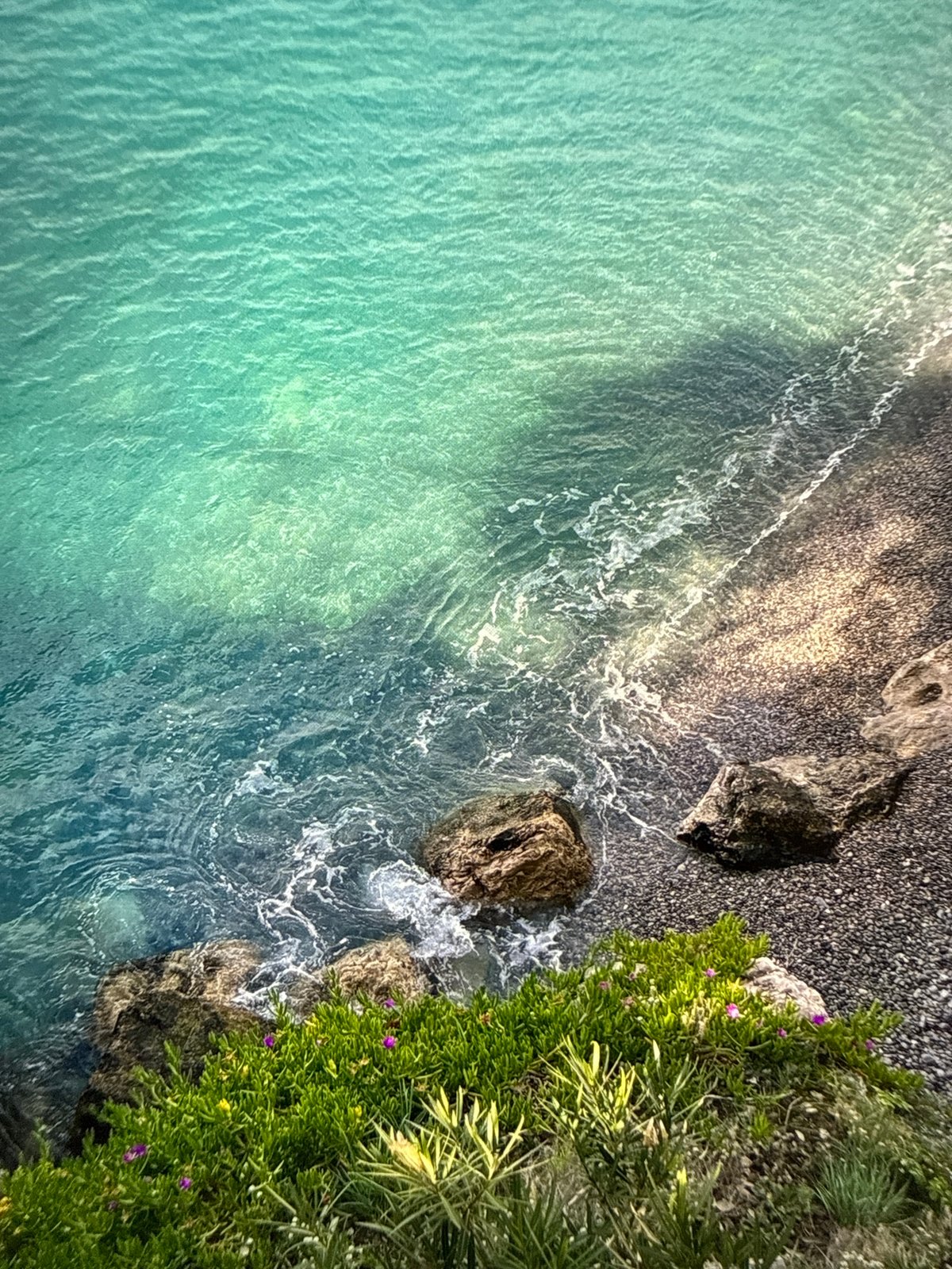 Sofia resident captures coastal views and playful dog moments