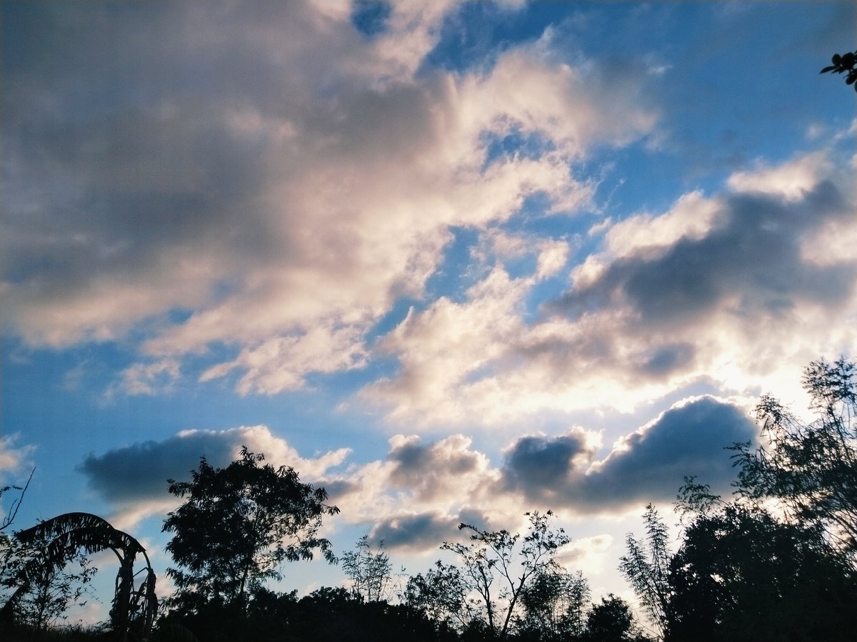 Cloudy sky documented over natural area, tree silhouettes visible