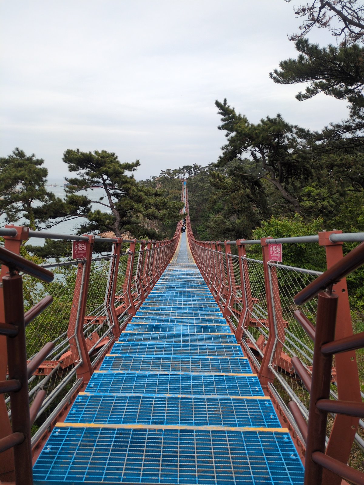 Dawn photography session captures Ulsan coastal views from bridge, cliffs