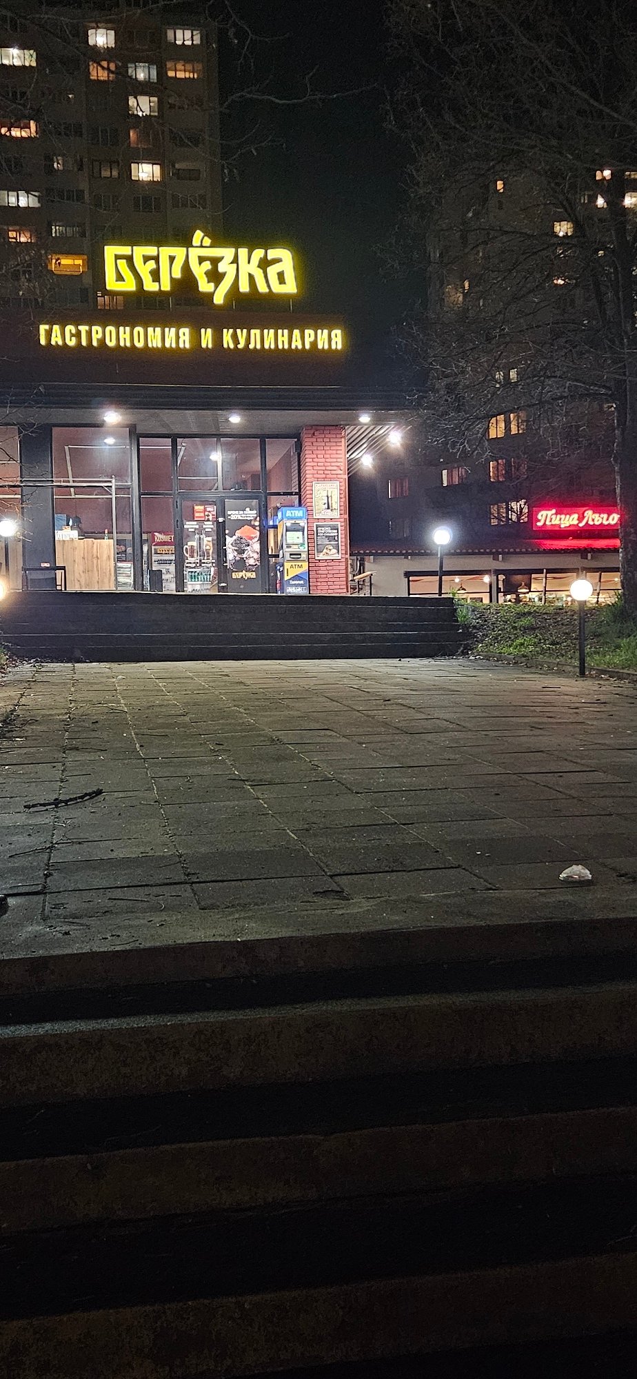Black dog spotted around Sofia storefronts and indoor locations