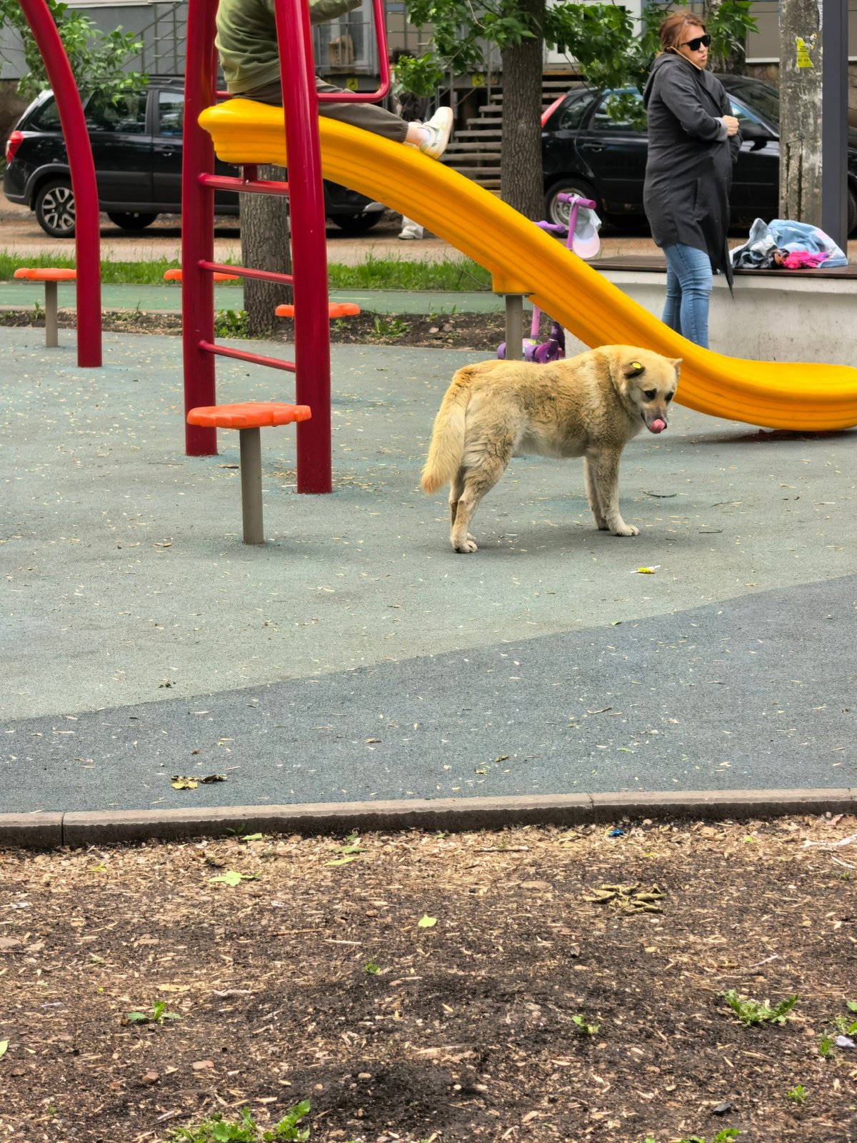 Morning playground activities documented in Sterlitamak park