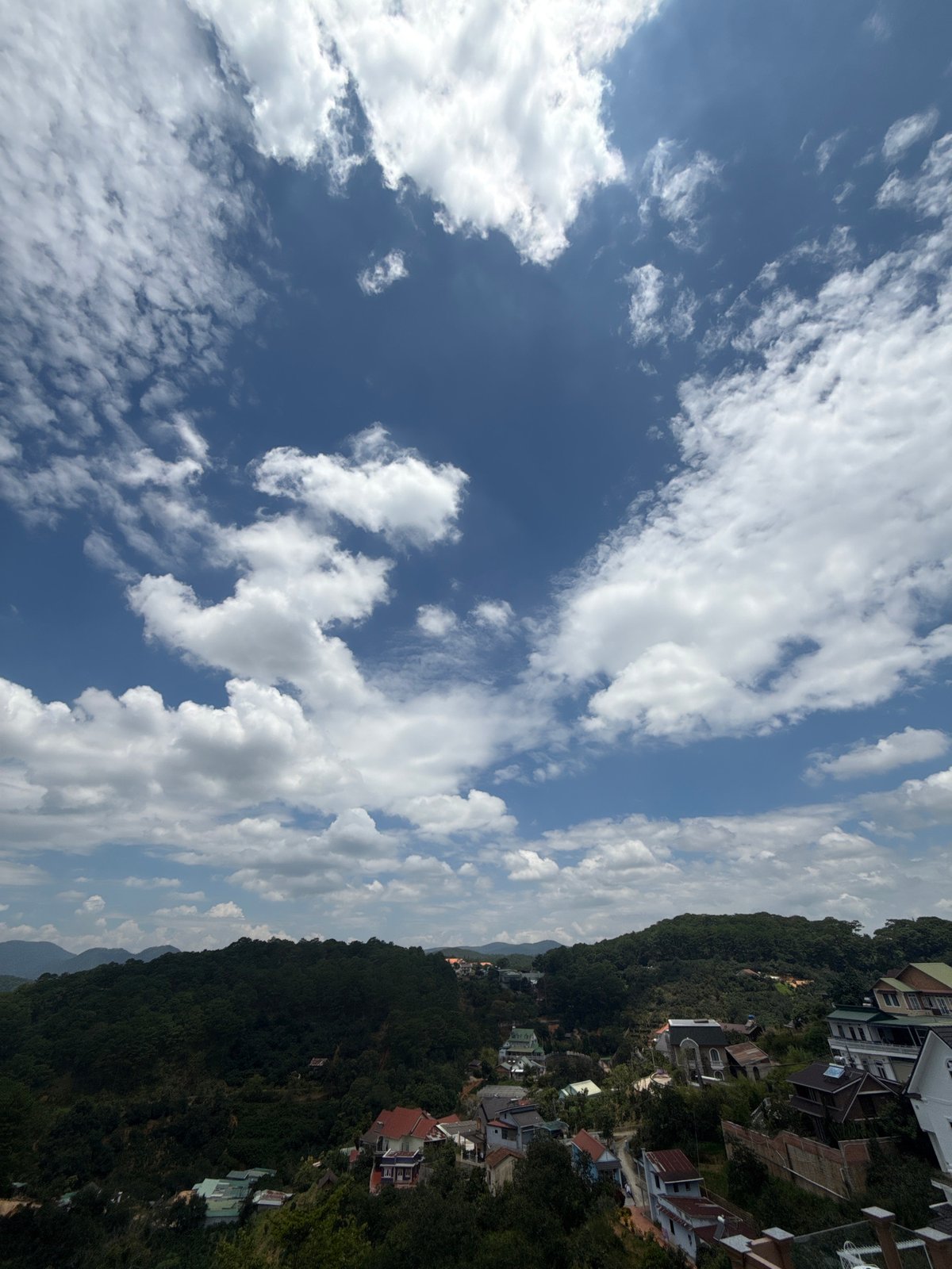 Totoro statue and sweeping hill views in Da Lat
