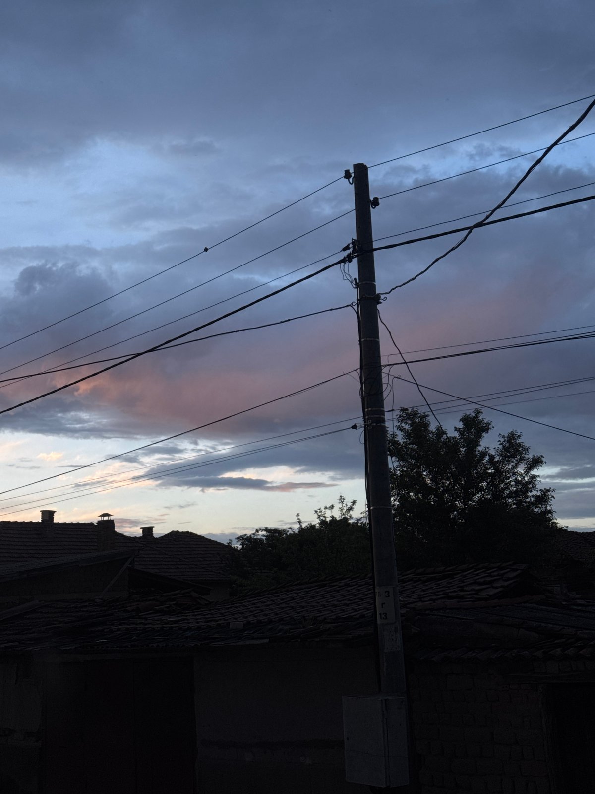 Urban twilight moments: flowers, cat, power lines documented