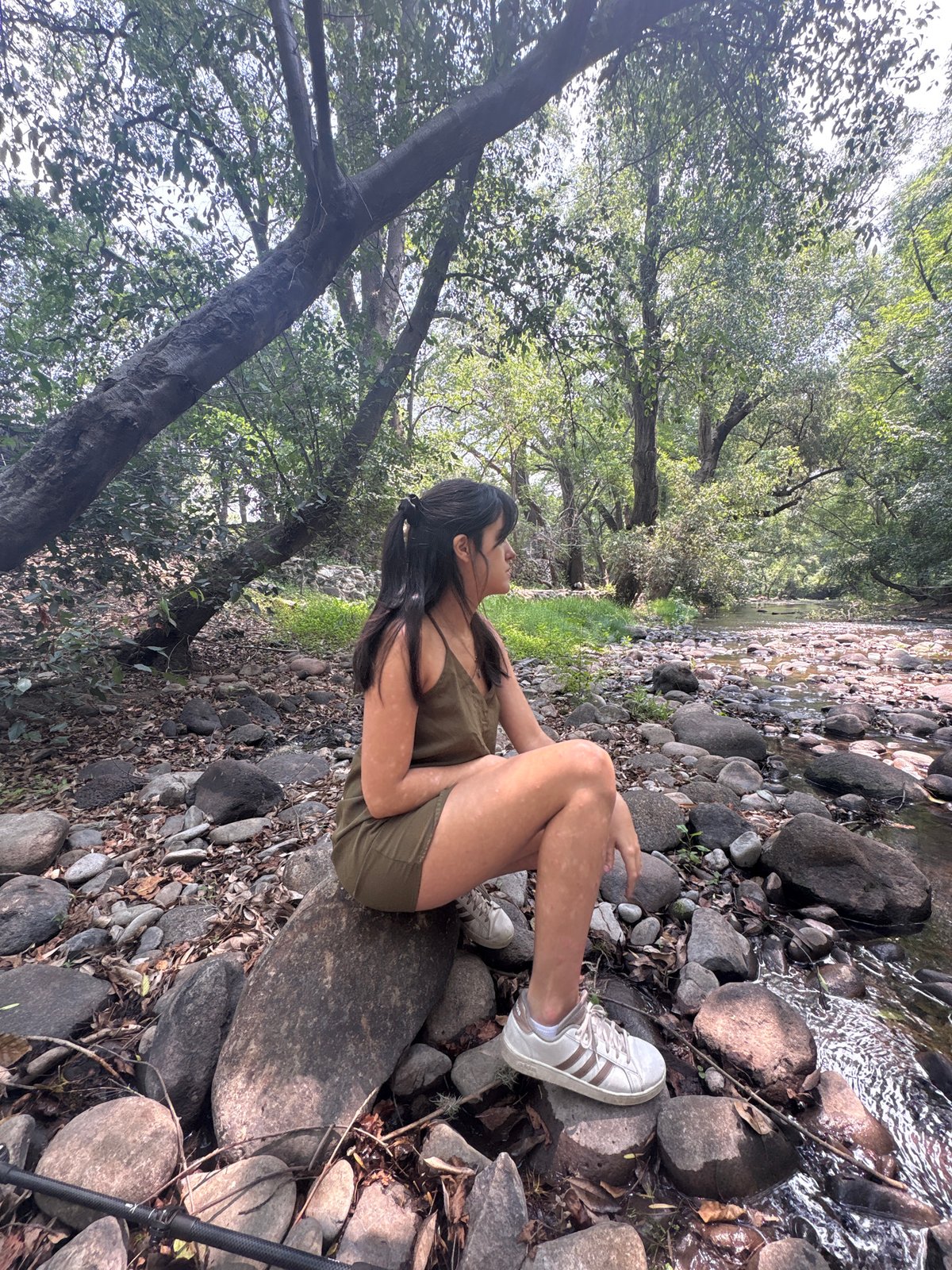 People relax by rocky stream in Cañada de Madero woods