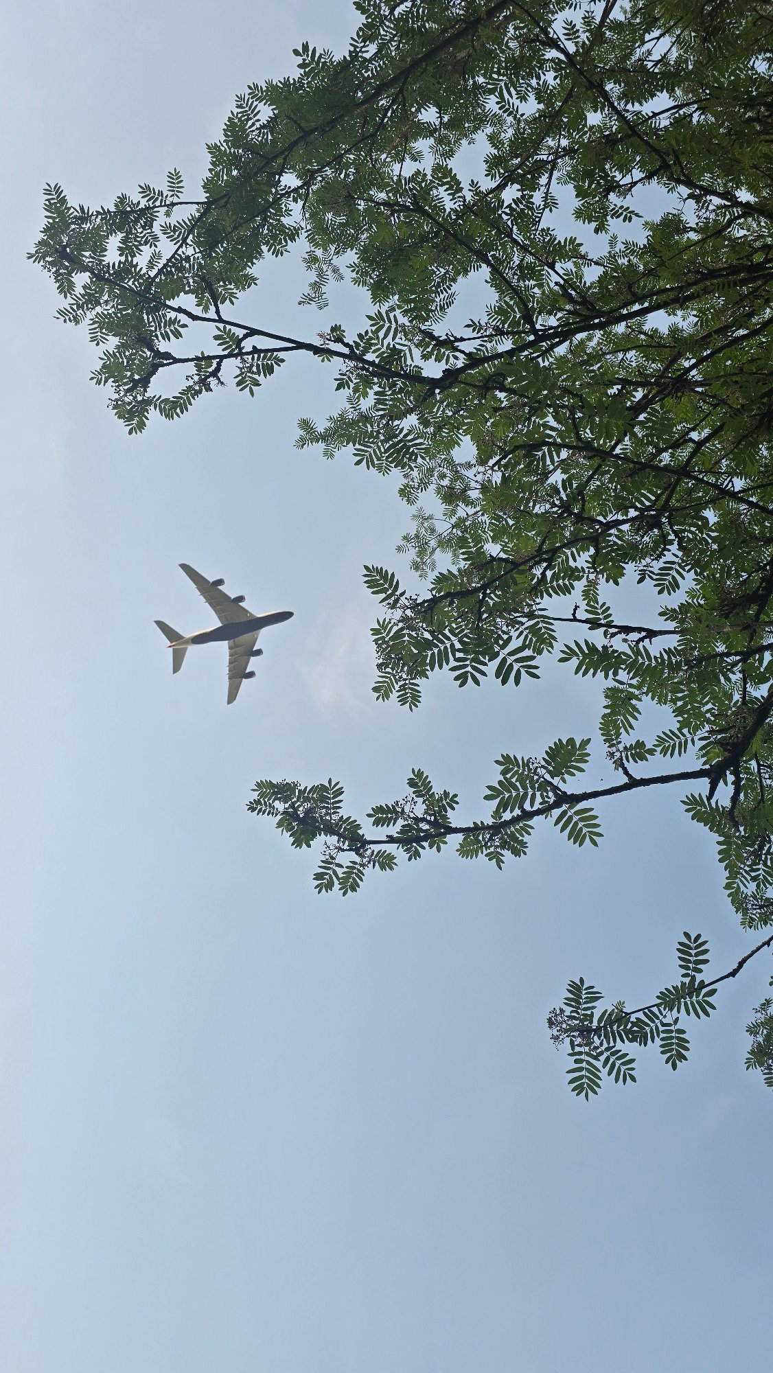 Man relaxes in deck chair as plane passes overhead