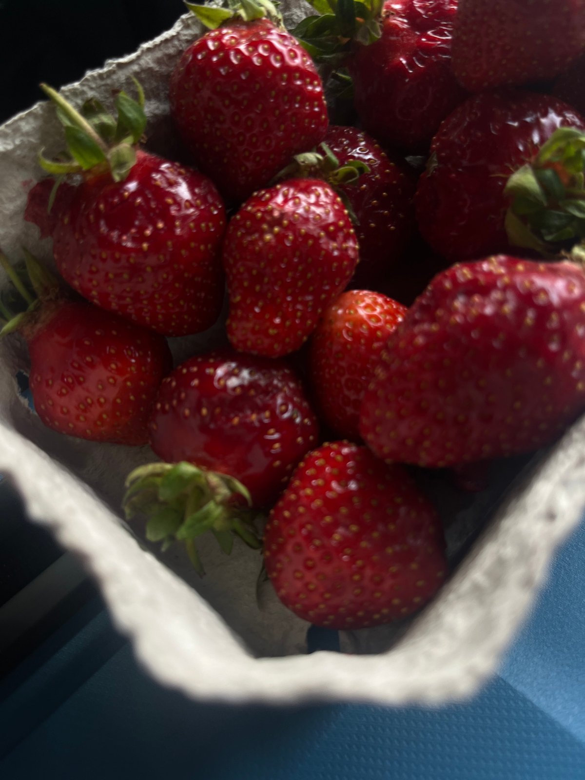 Munich witness captures strawberries and tree in afternoon scenes