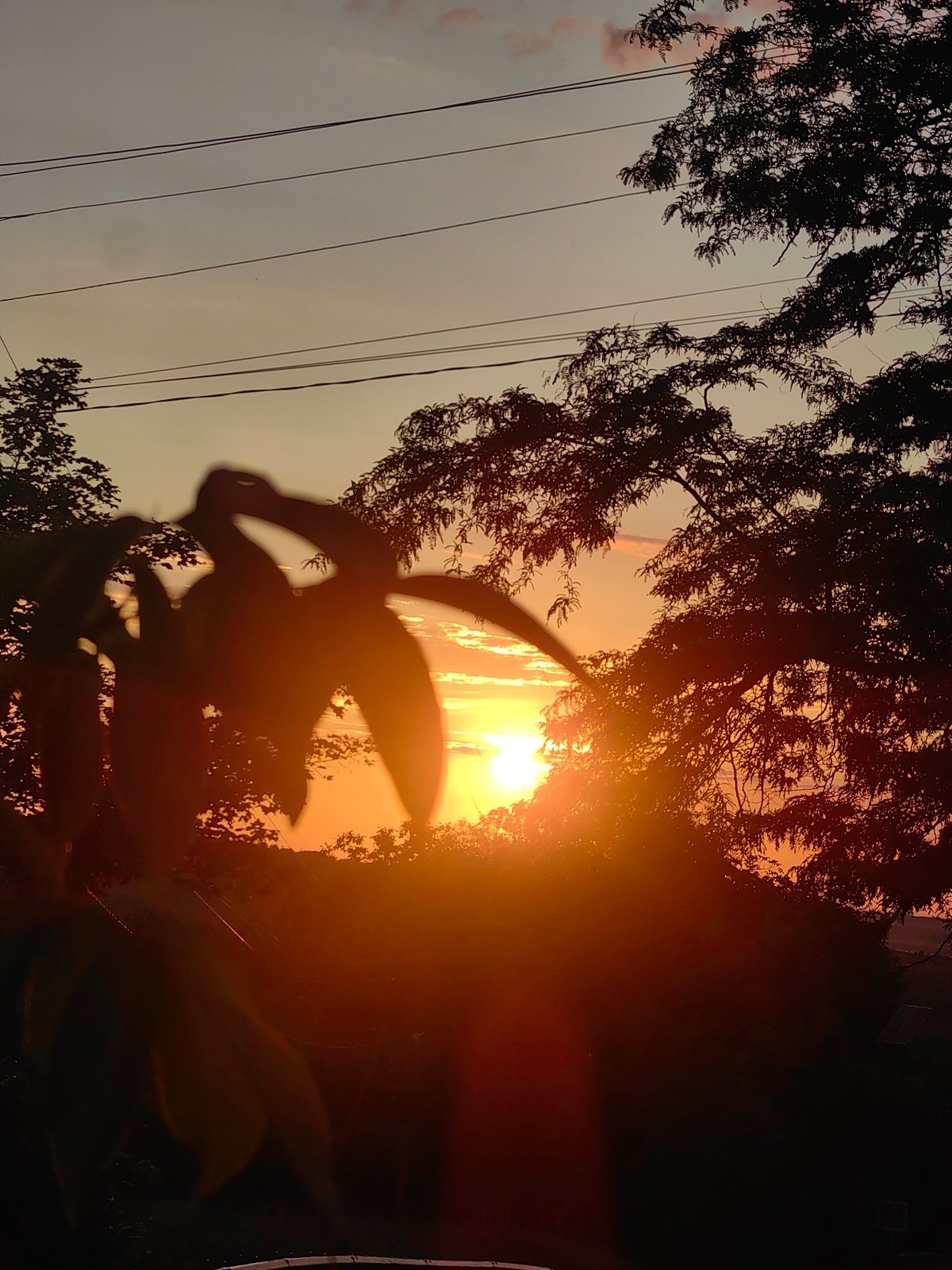 Man checks phone on rural Ukraine road during sunset