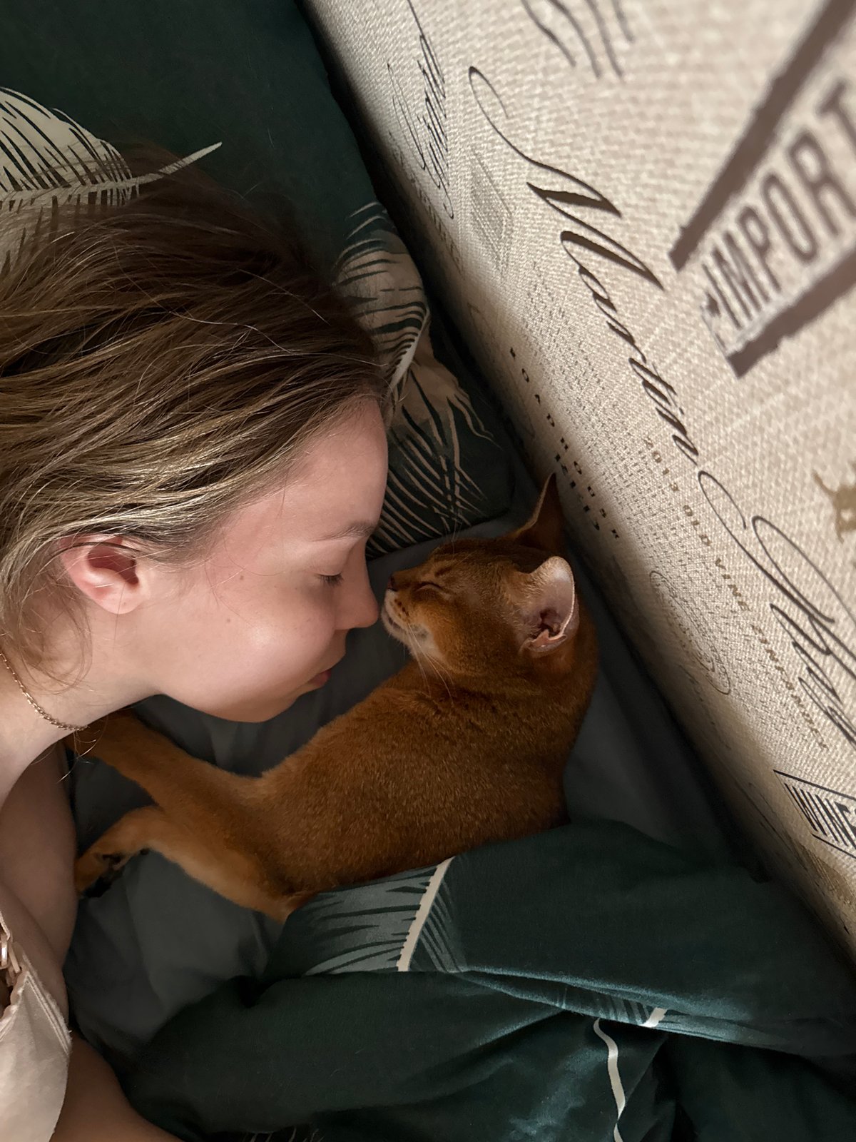 Woman and Abyssinian cat share peaceful morning bed time
